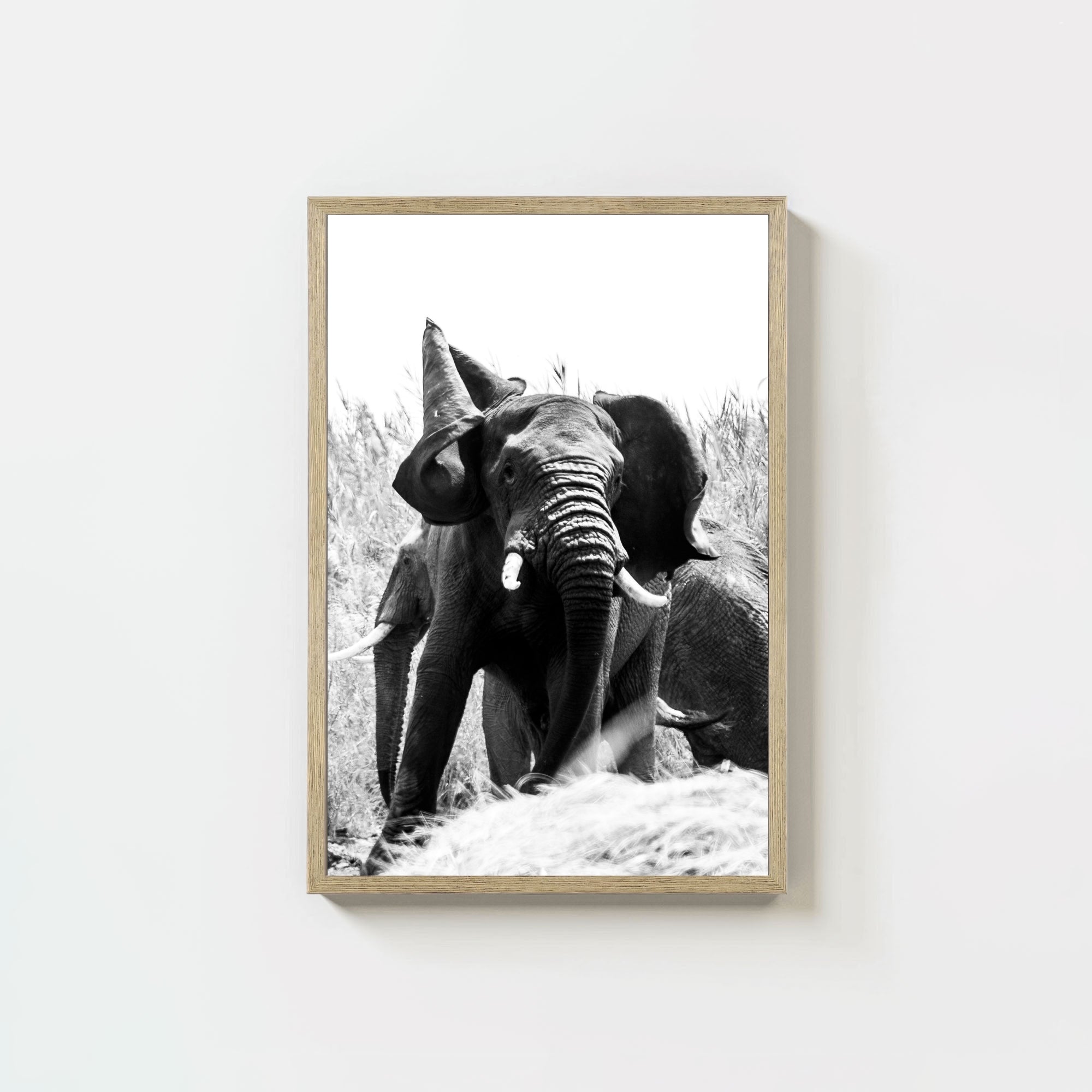 Tembo