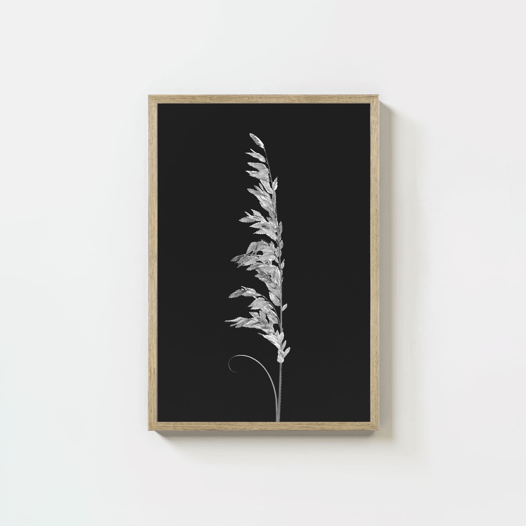 Wild Grain