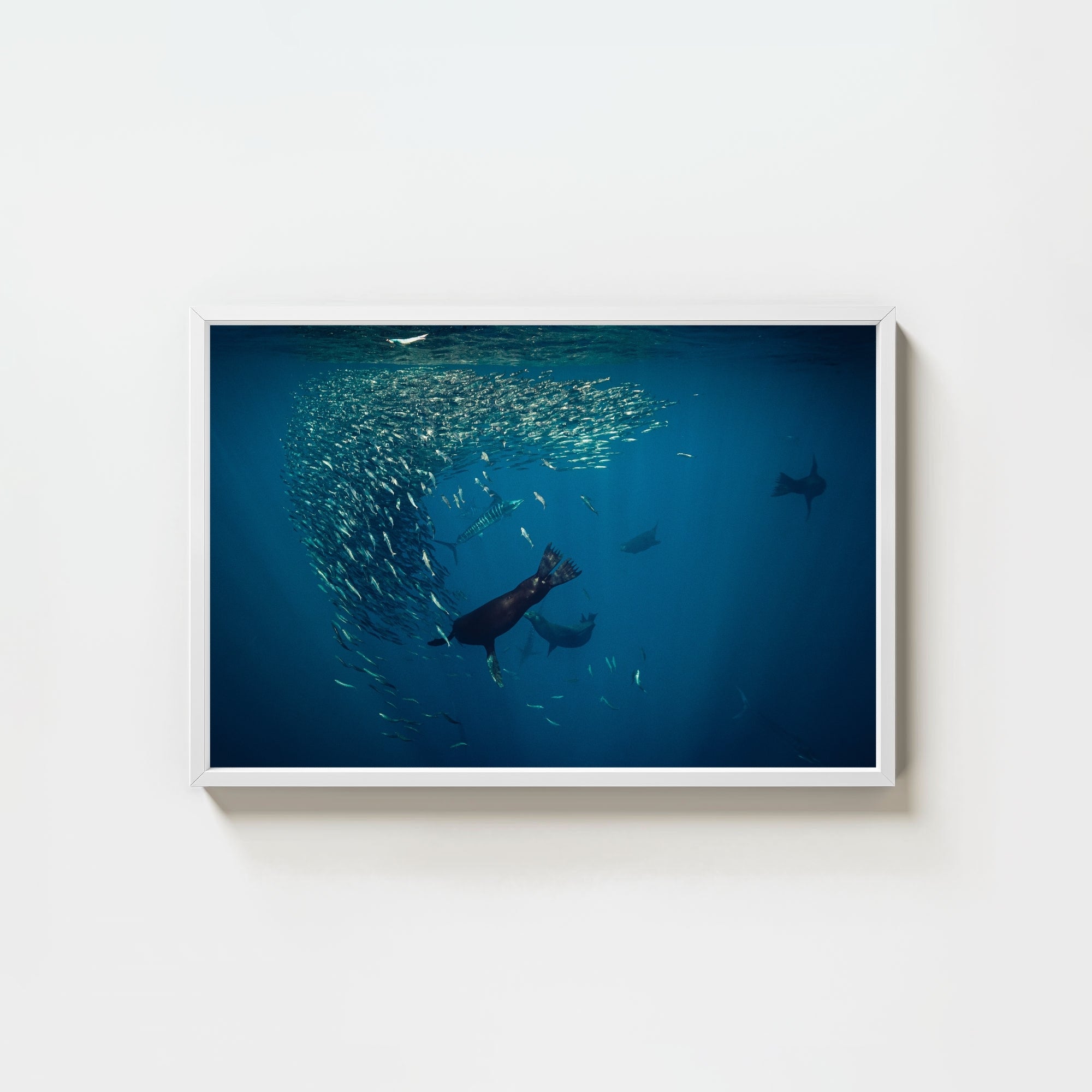 Mag Bay Tango: The Lion & The Spear