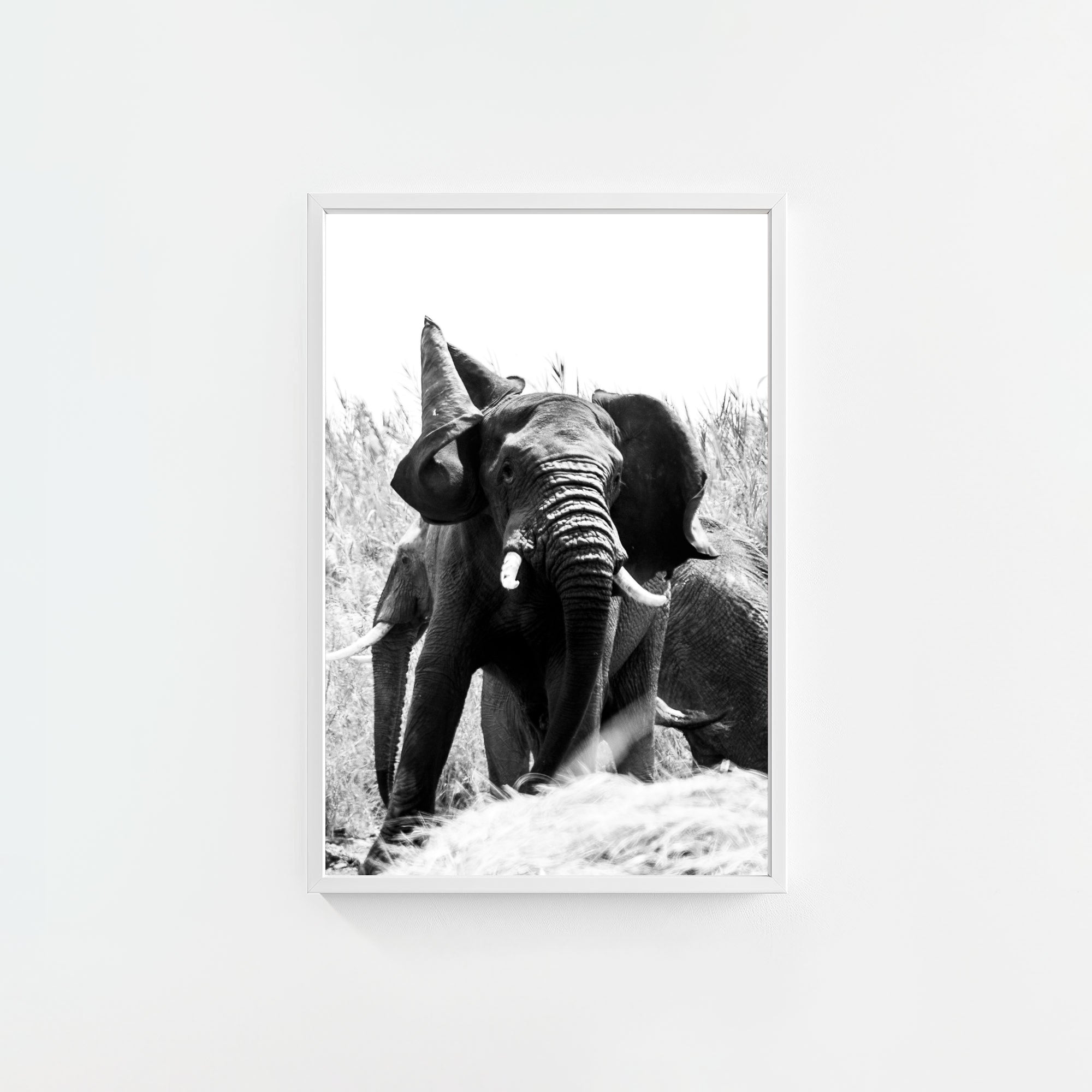 Tembo