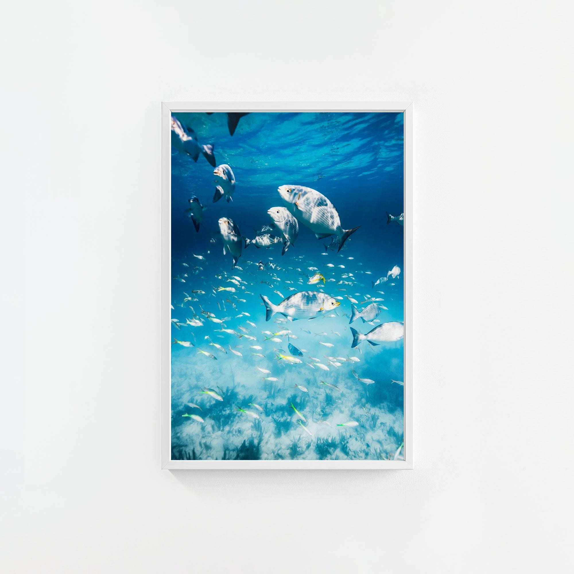 Colorful Current