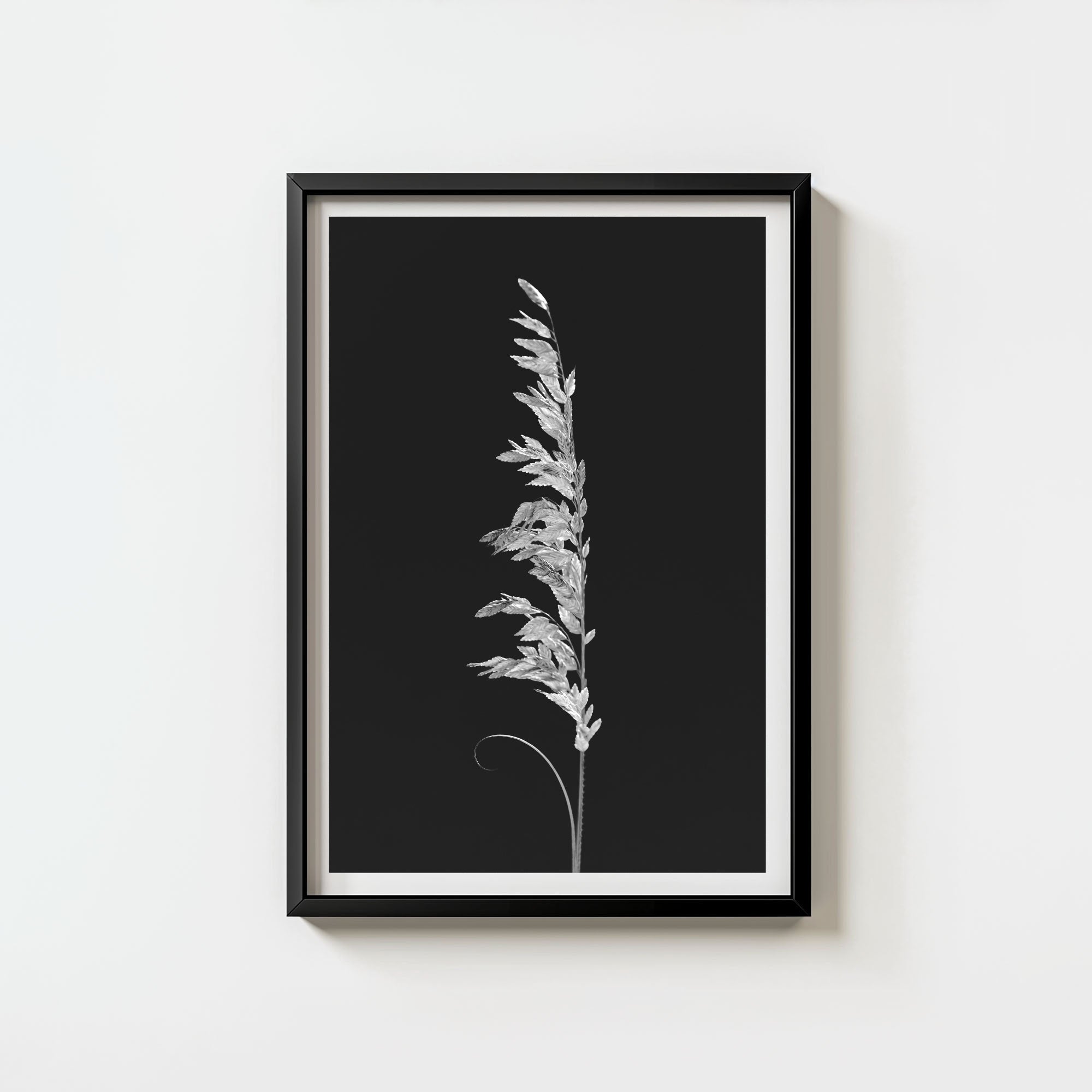Wild Grain