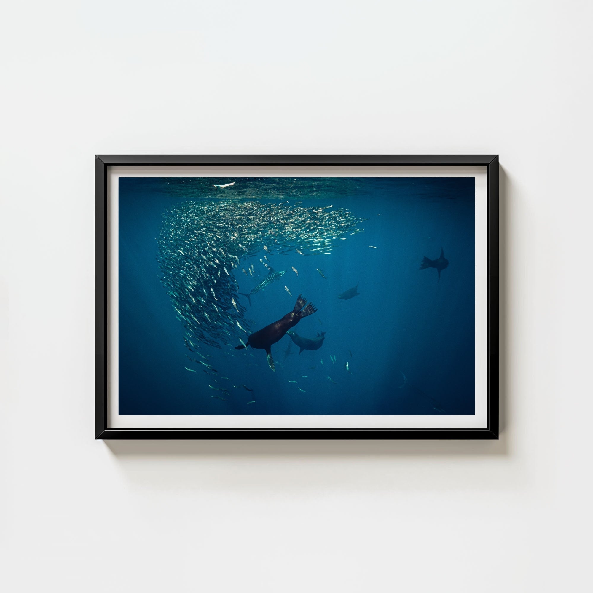 Mag Bay Tango: The Lion & The Spear