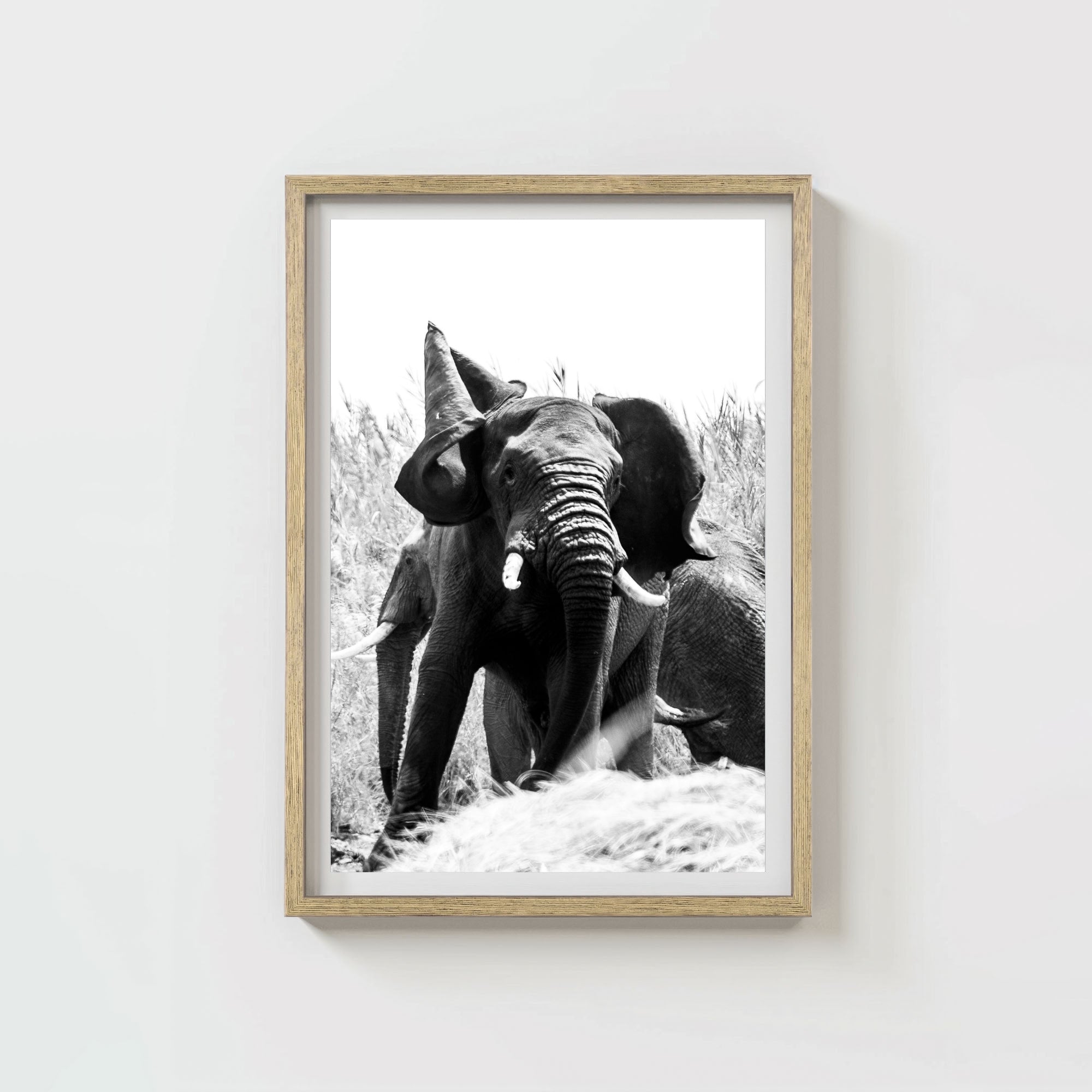 Tembo
