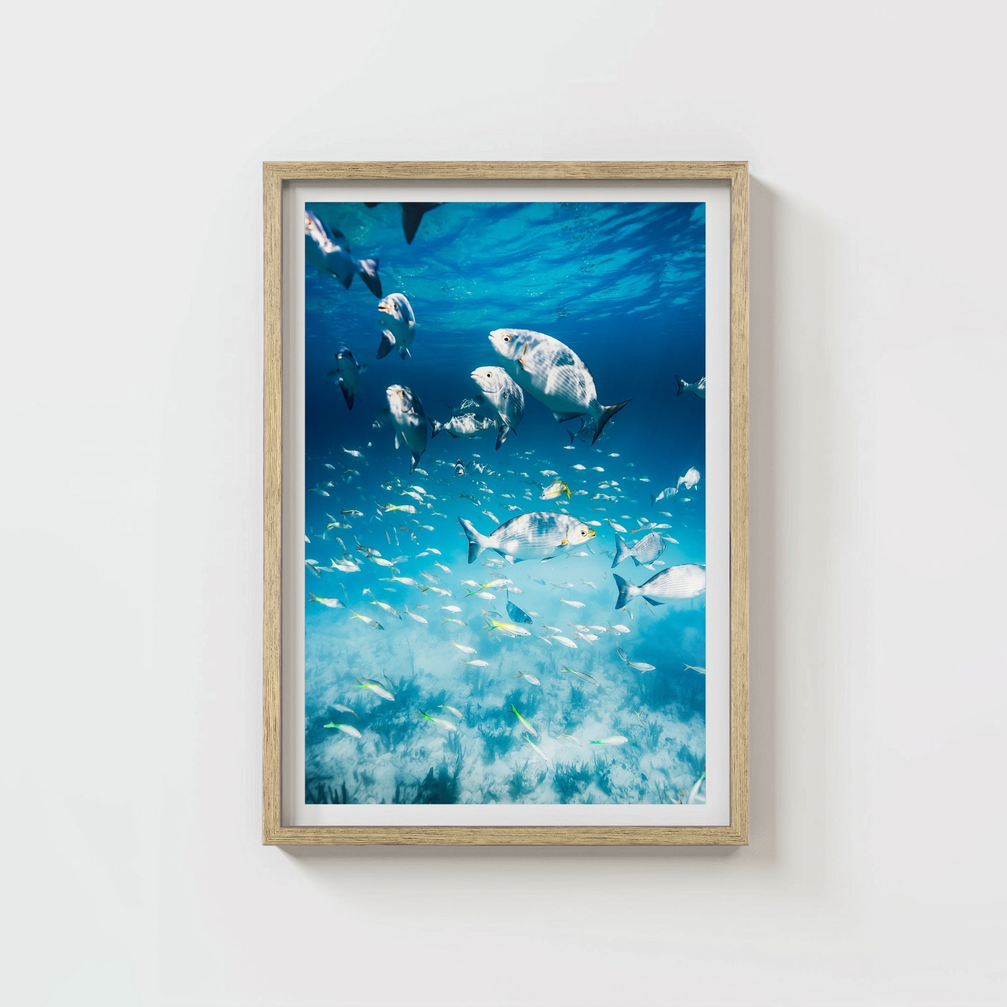 Colorful Current