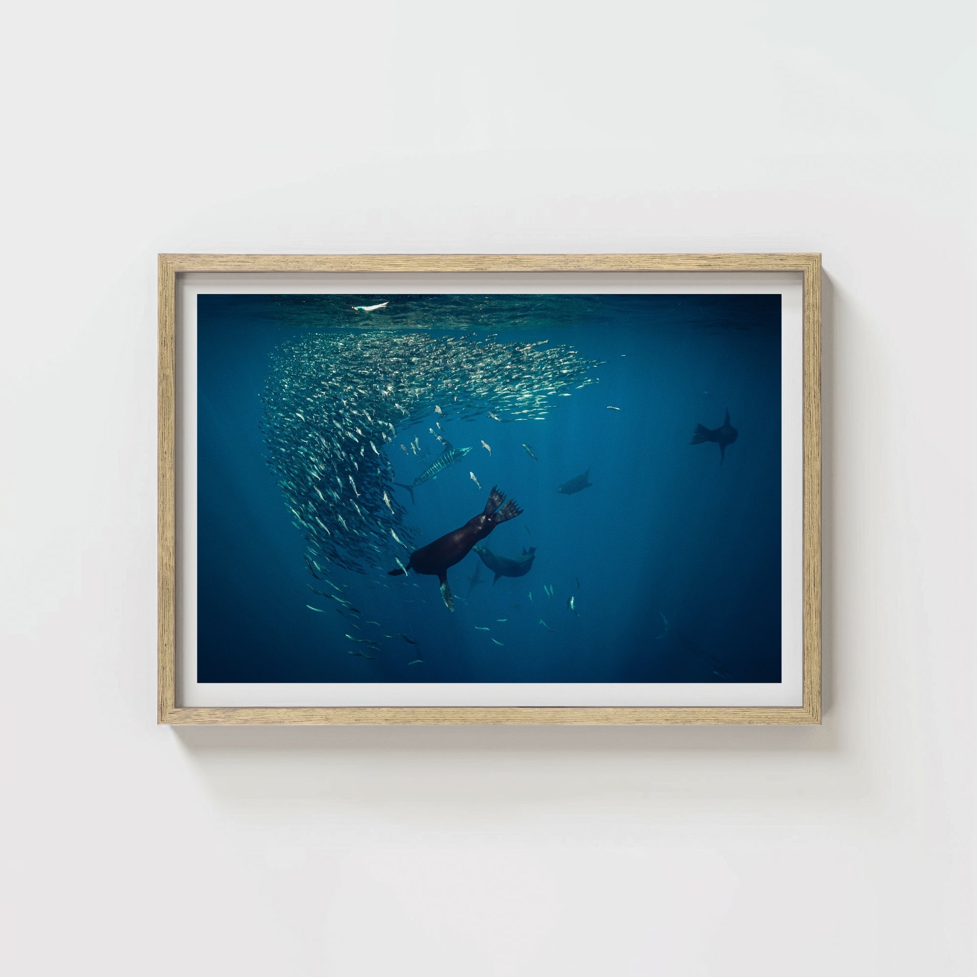 Mag Bay Tango: The Lion & The Spear