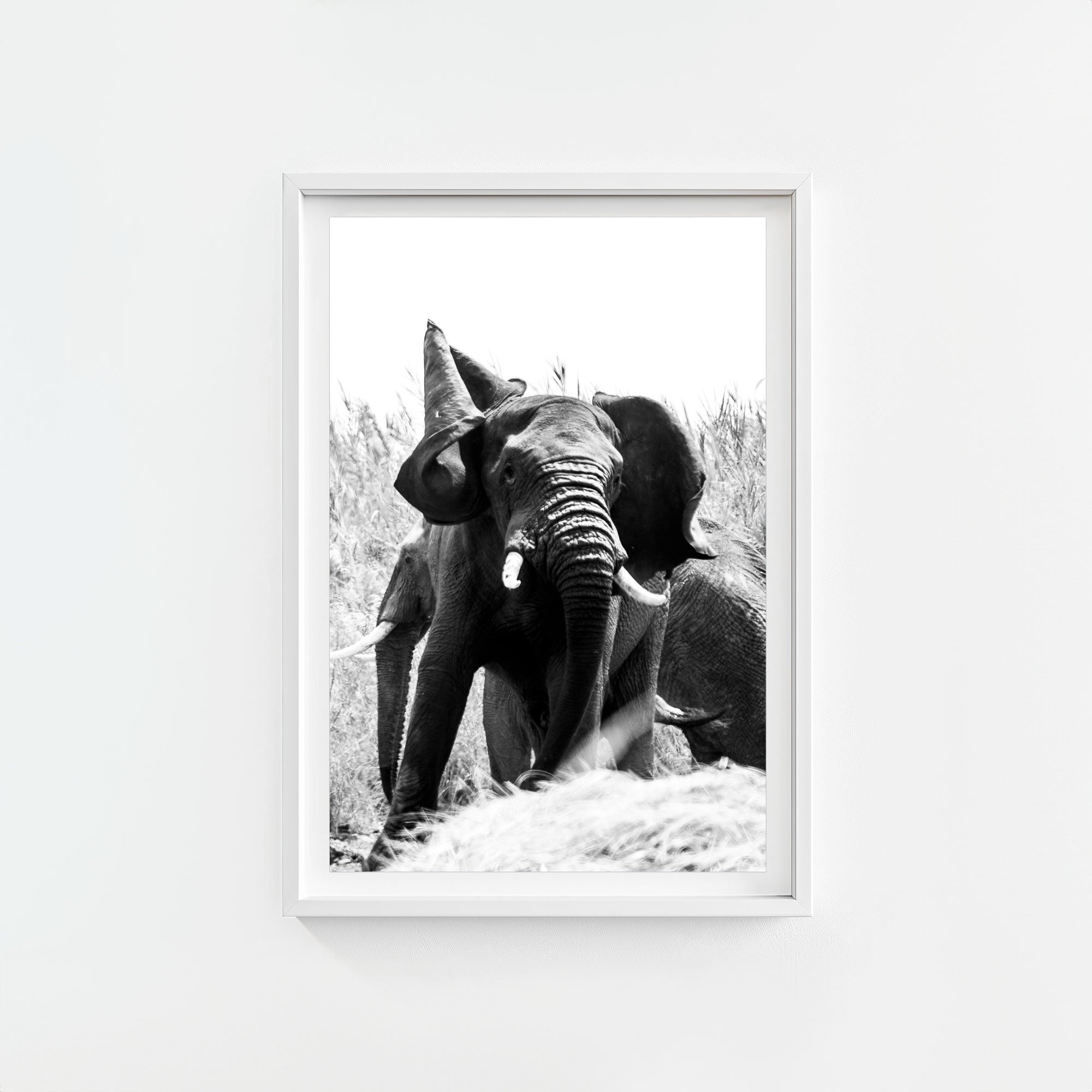 Tembo