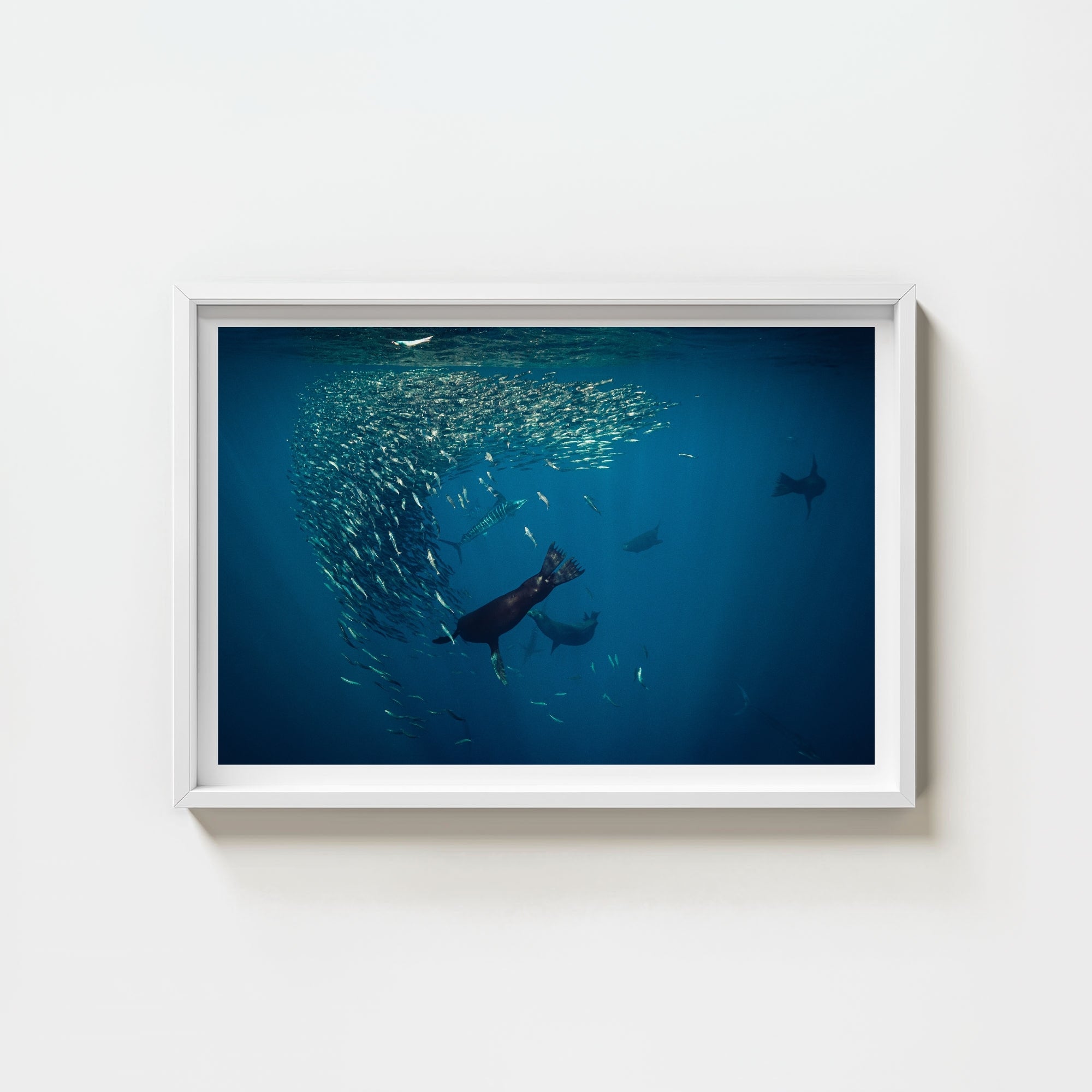 Mag Bay Tango: The Lion & The Spear