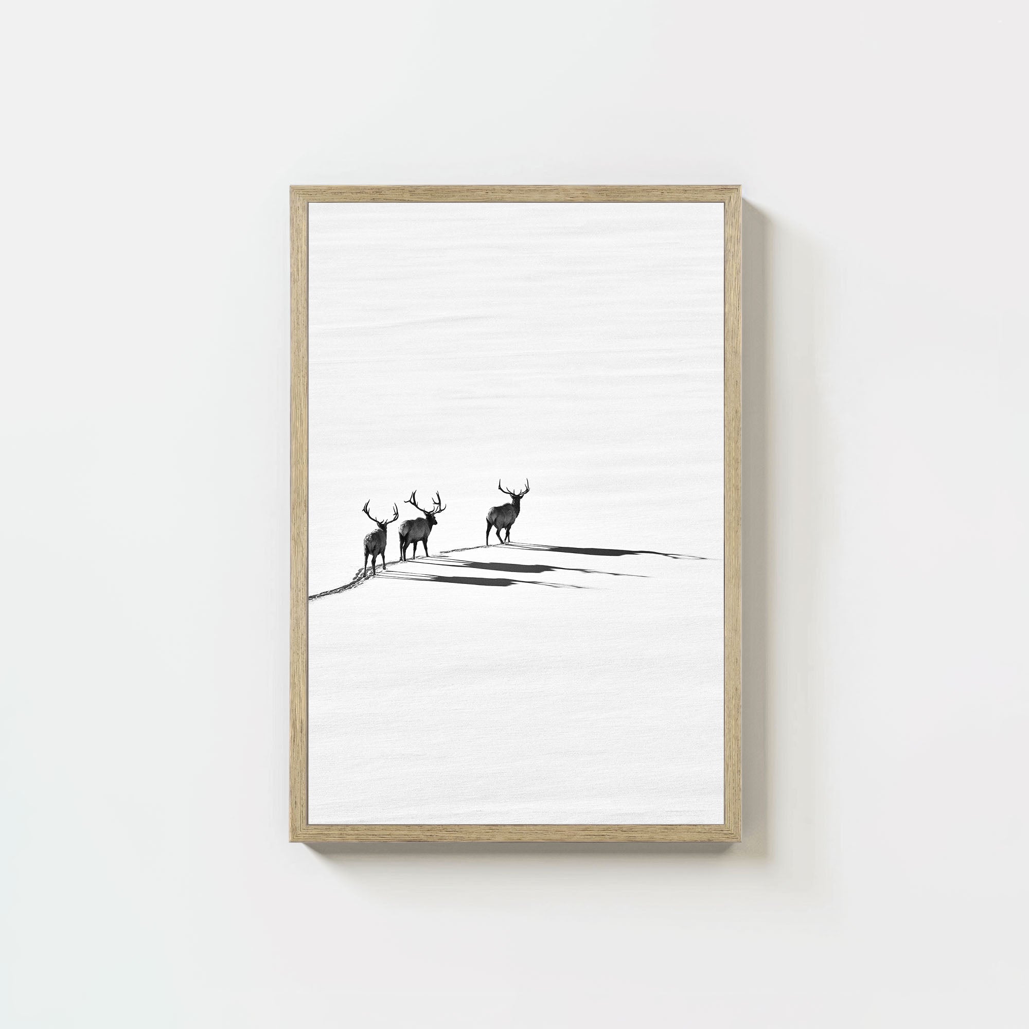 Bull Elk Crossing (6 Left!)