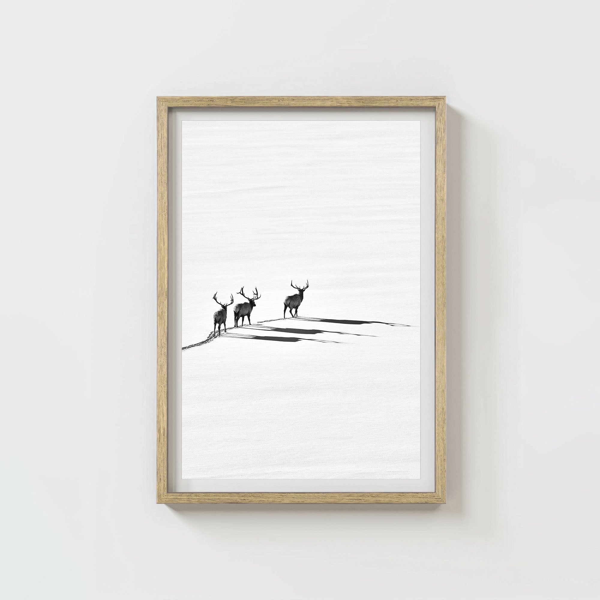 Bull Elk Crossing (6 Left!)