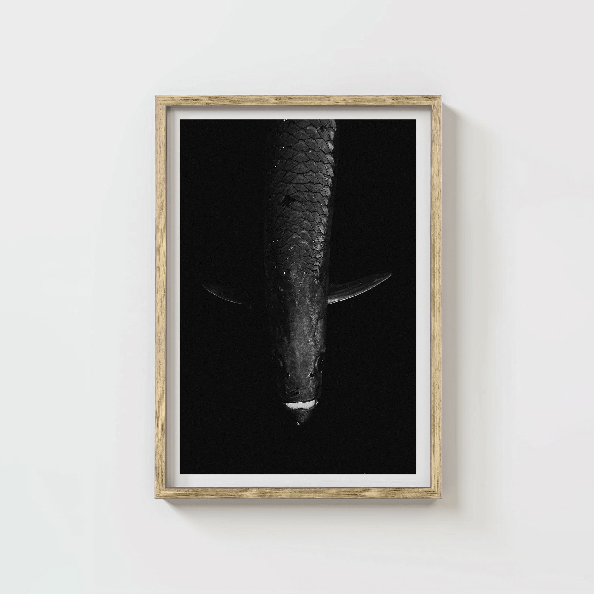 Tarpon: 'Dark Side Of The King' (6 Left!)