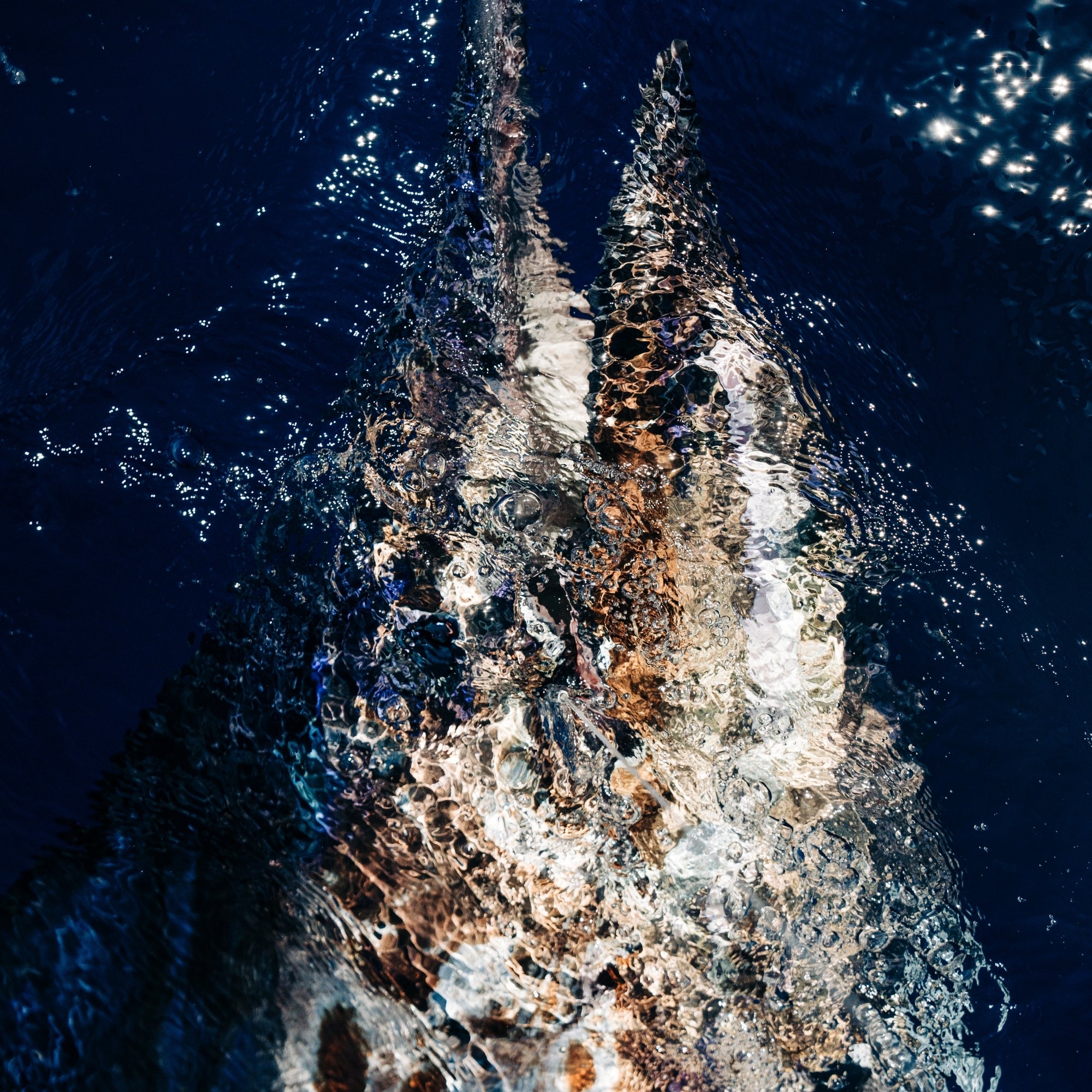 Deep Blue