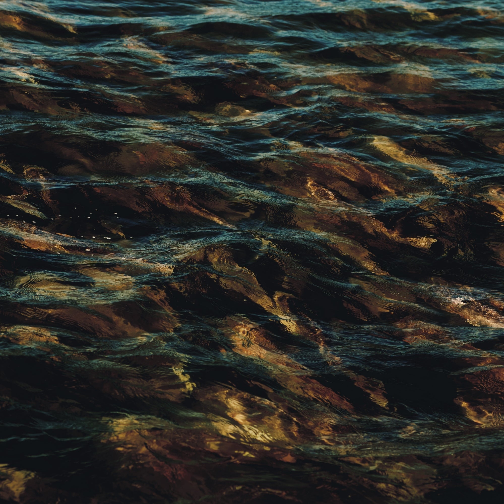 The Red Sea