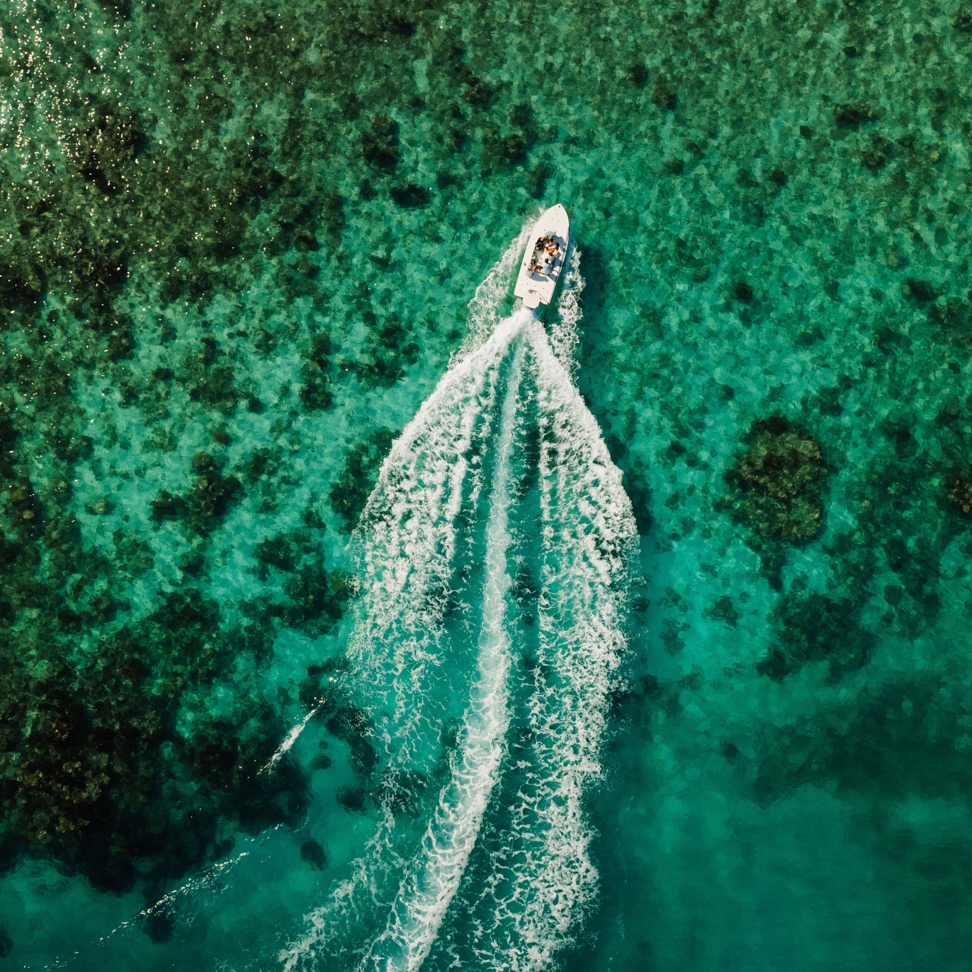 To The Reef