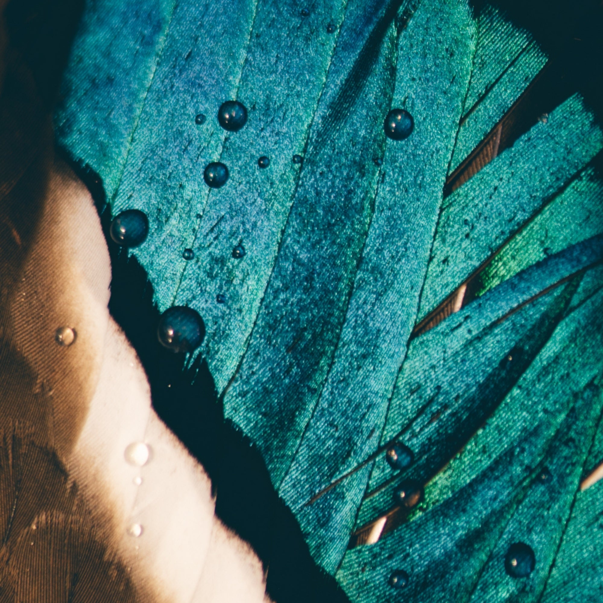 Waterproof