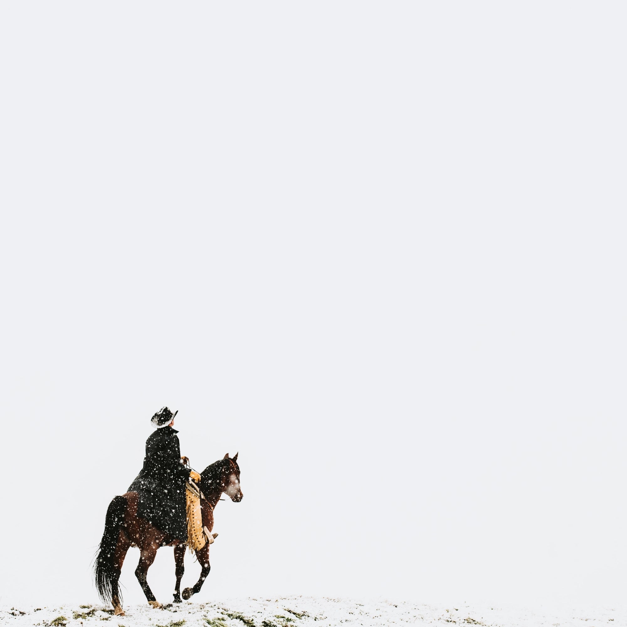 White Silence