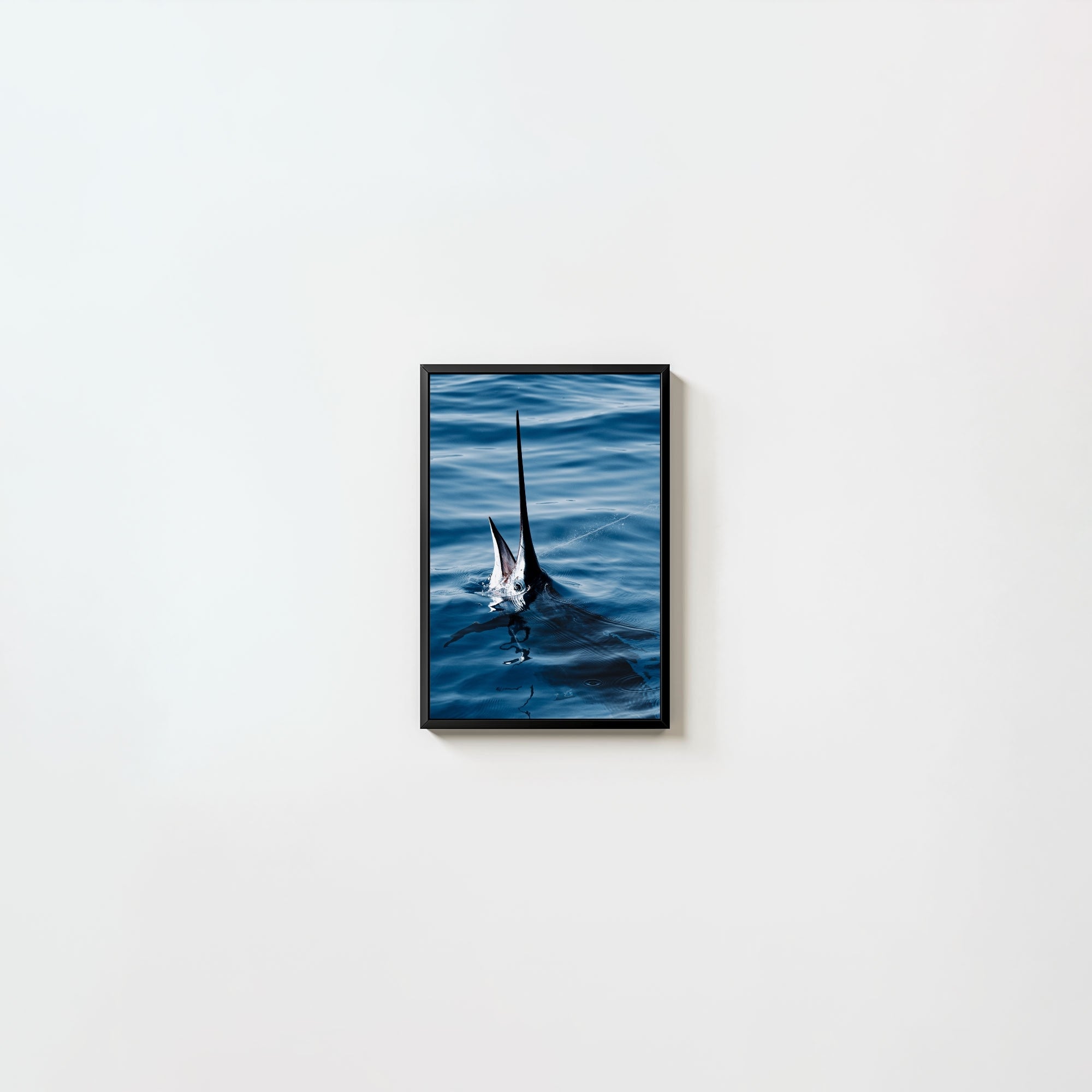 Sail Bite