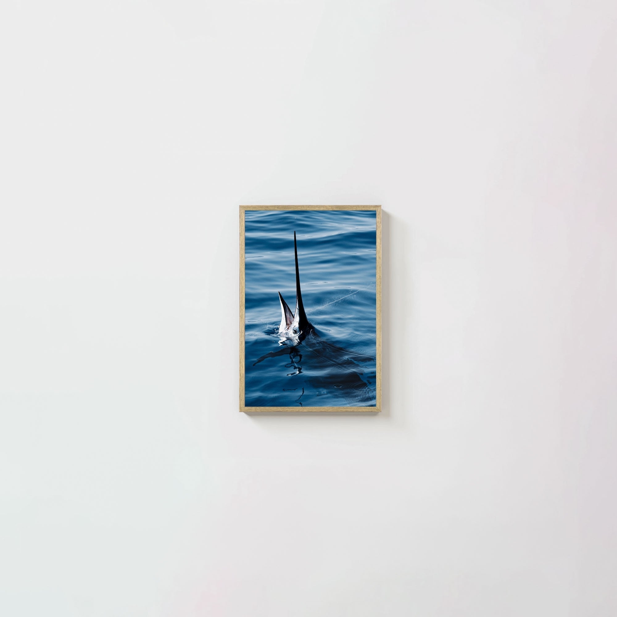 Sail Bite