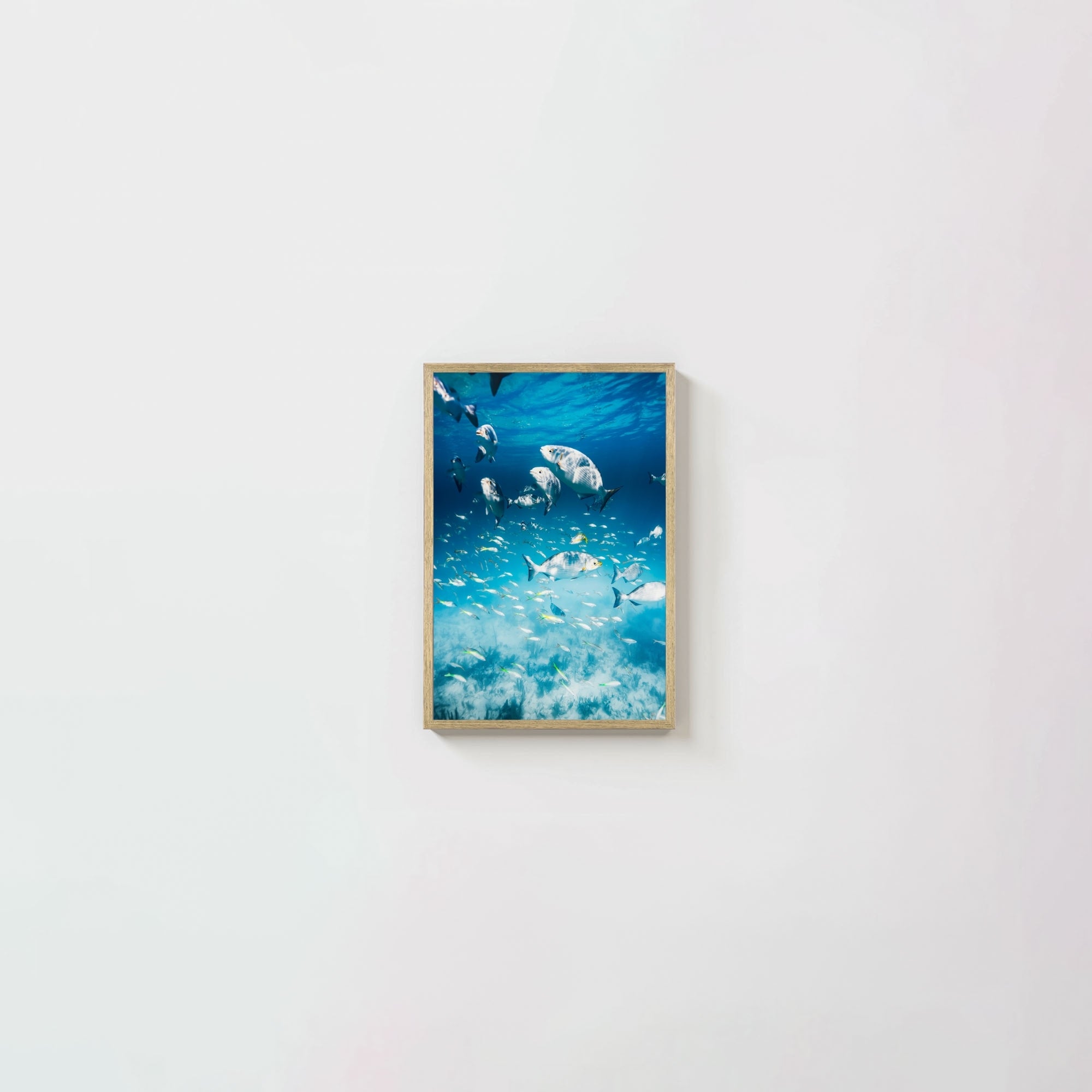 Colorful Current