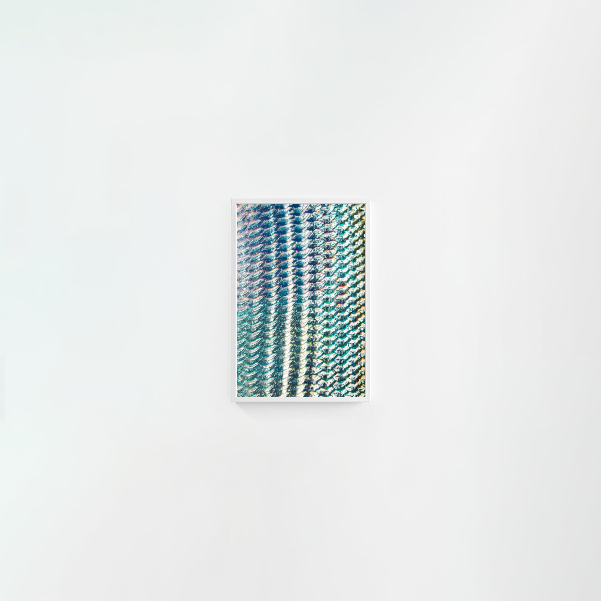 Bonefish Blueprint