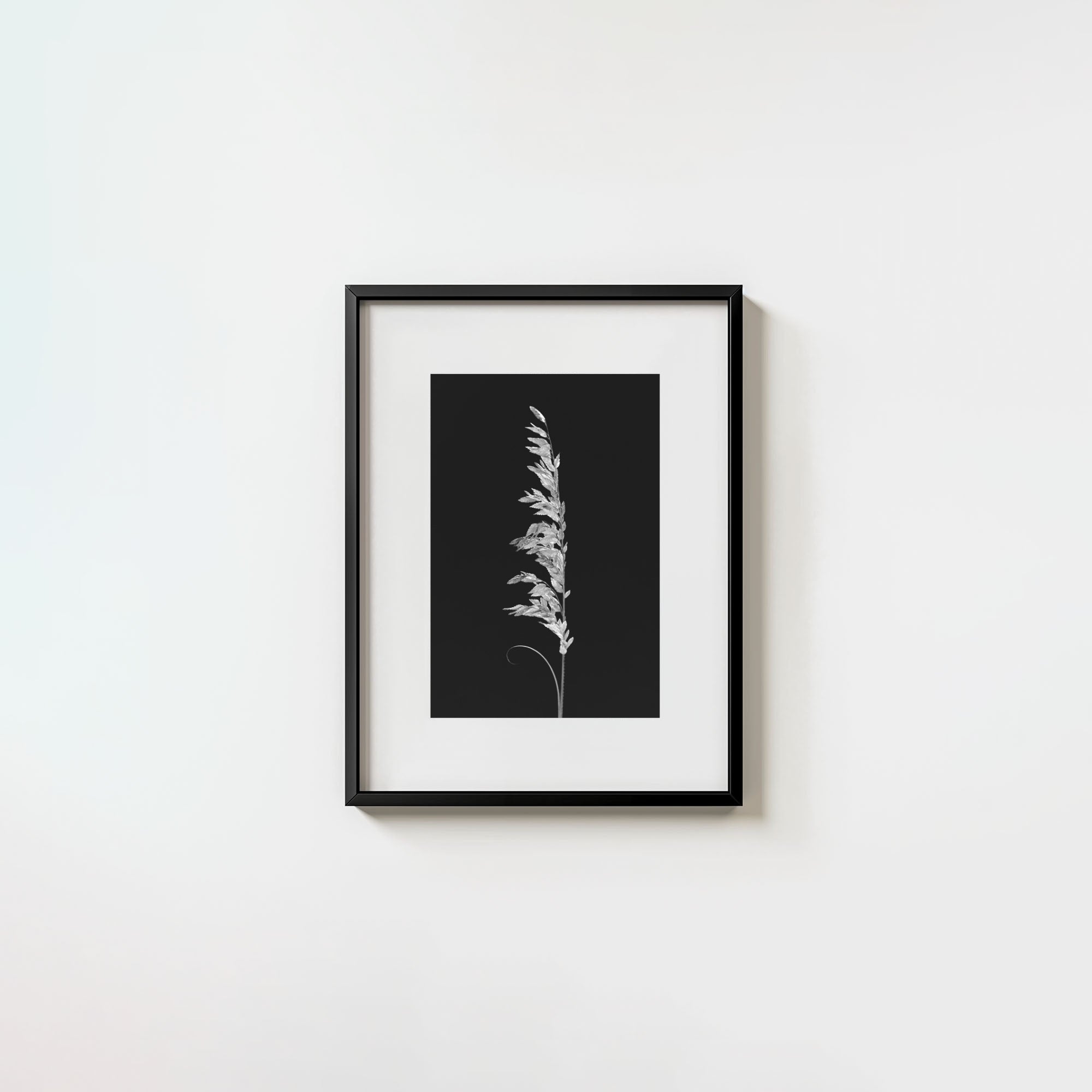 Wild Grain