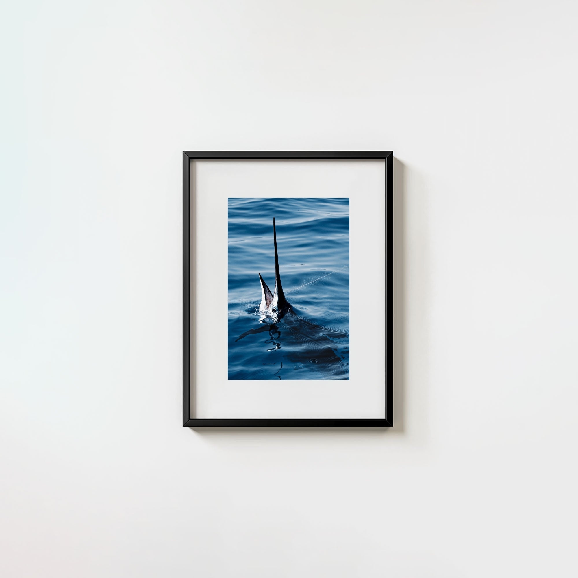 Sail Bite