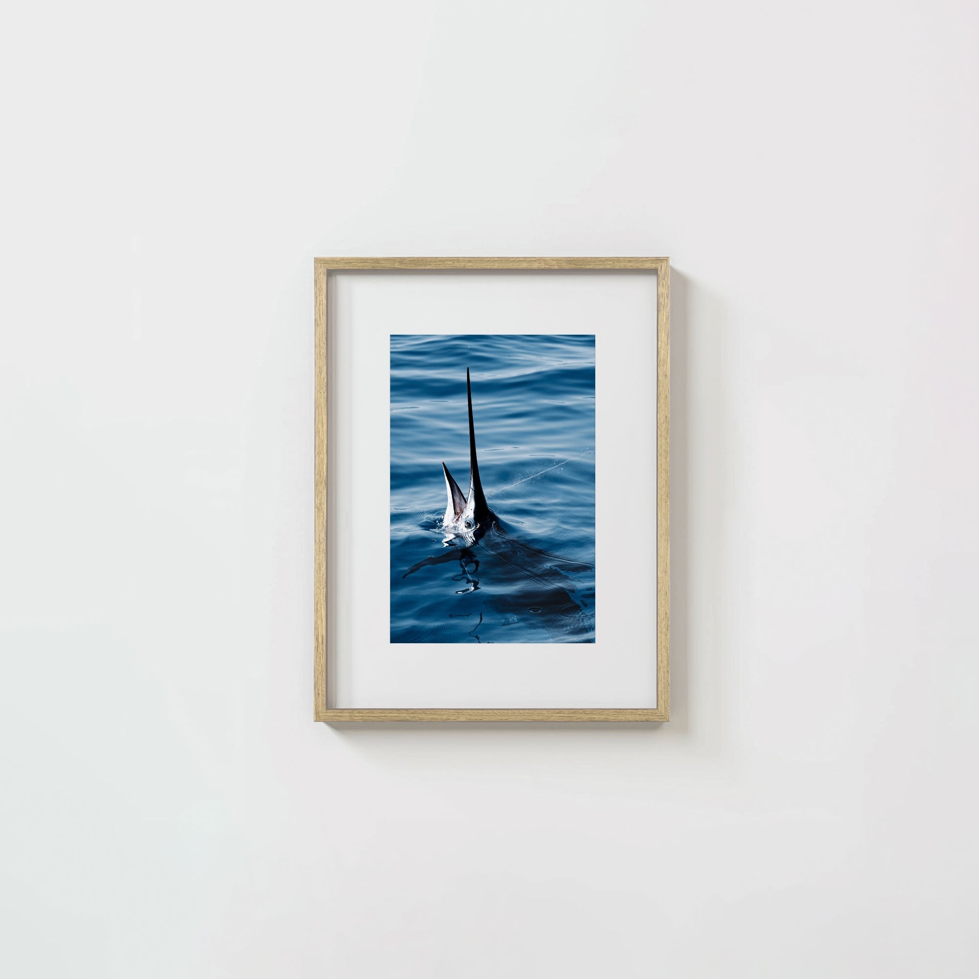 Sail Bite