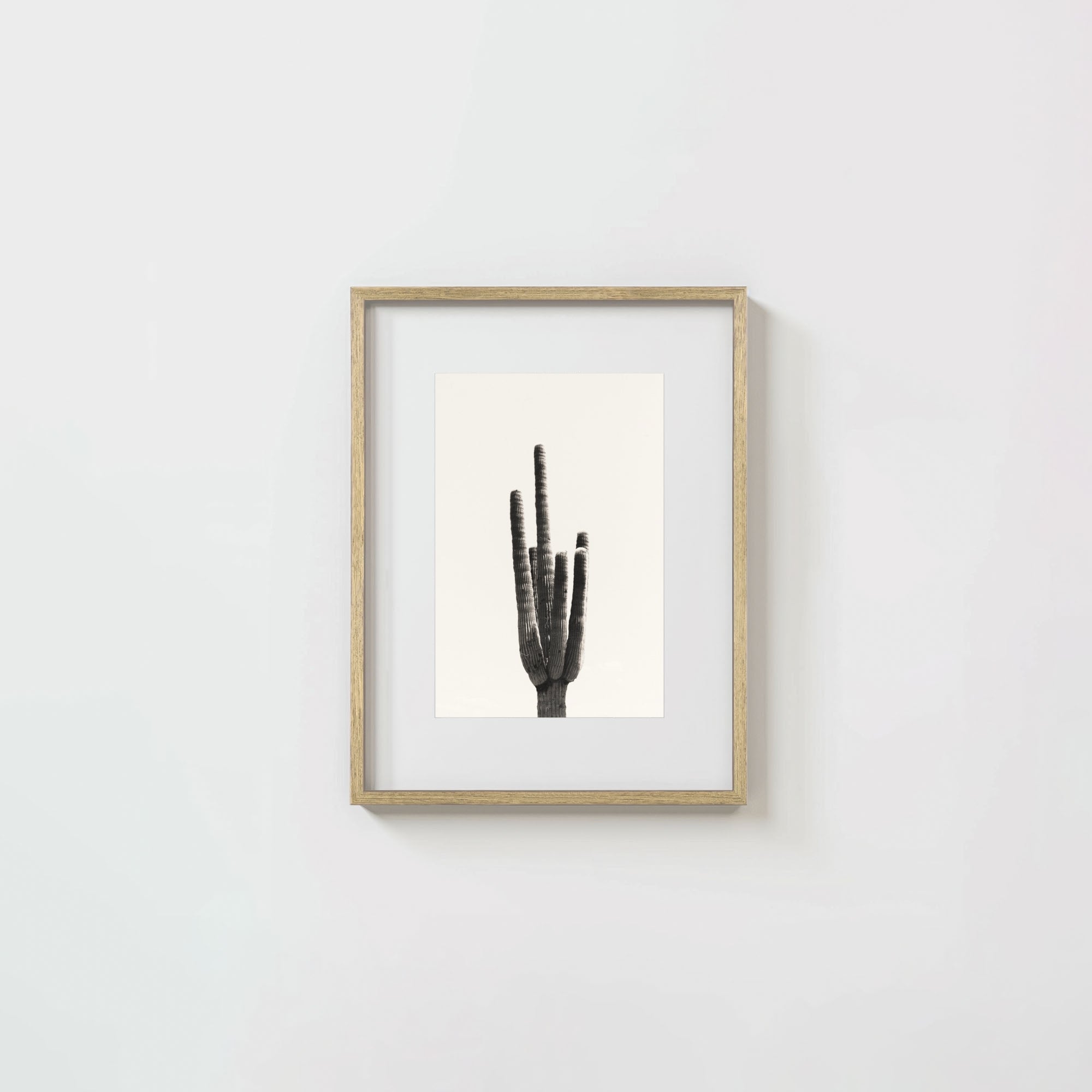 Cacti