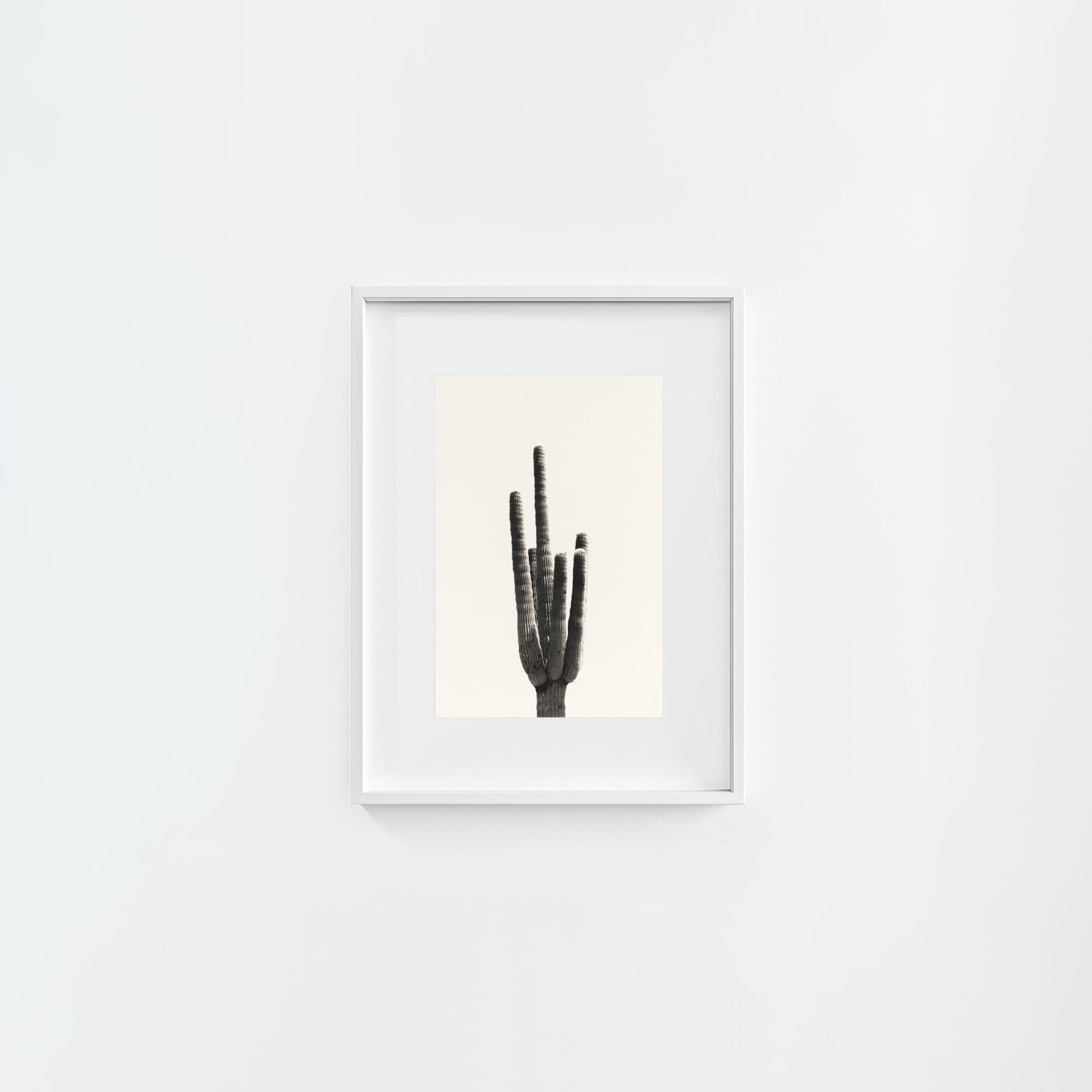 Cacti