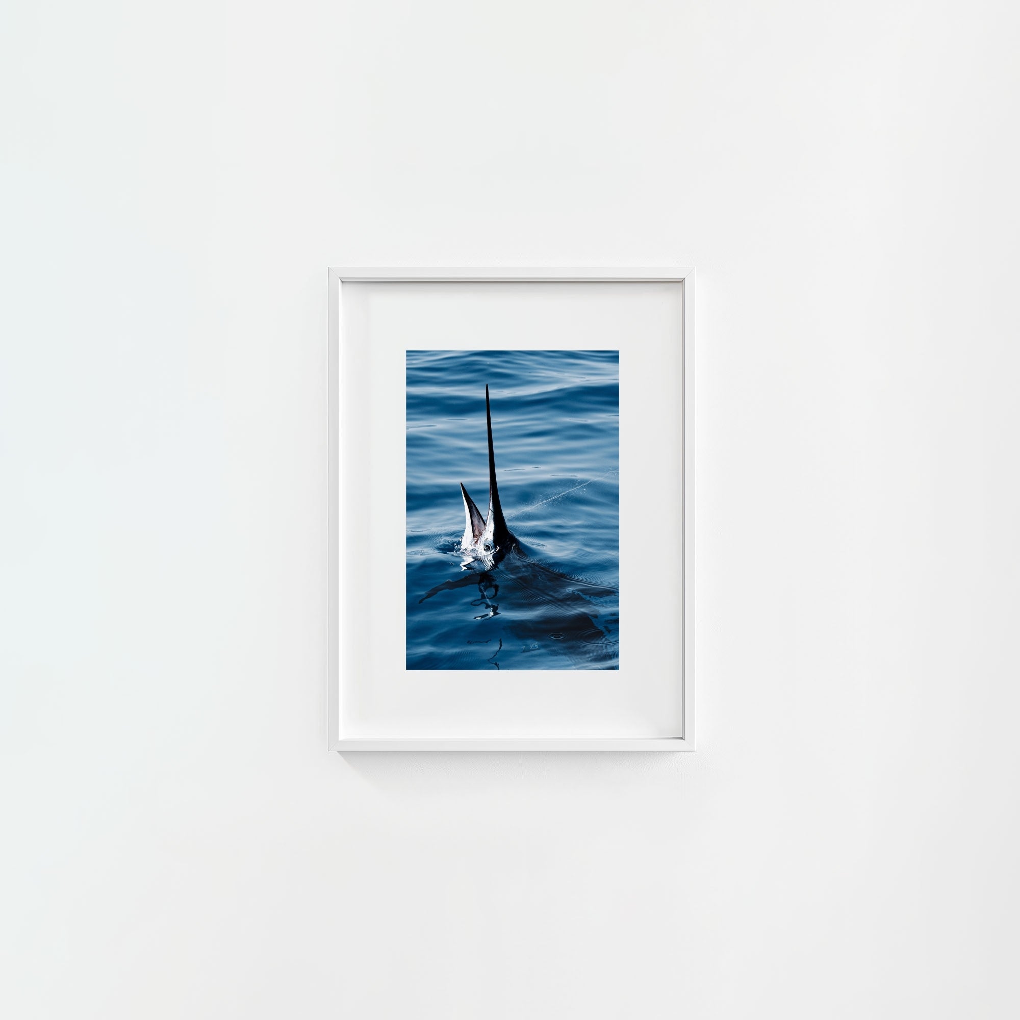 Sail Bite