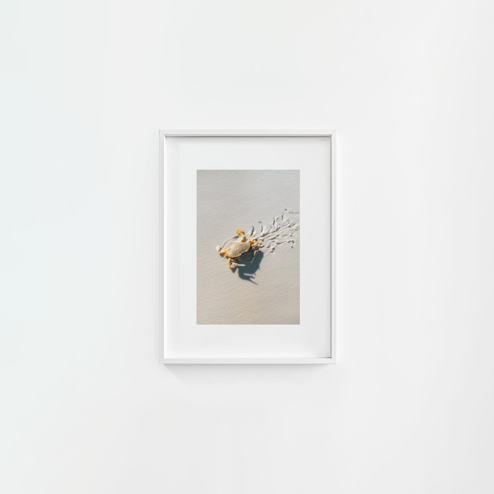 Crab Graffiti
