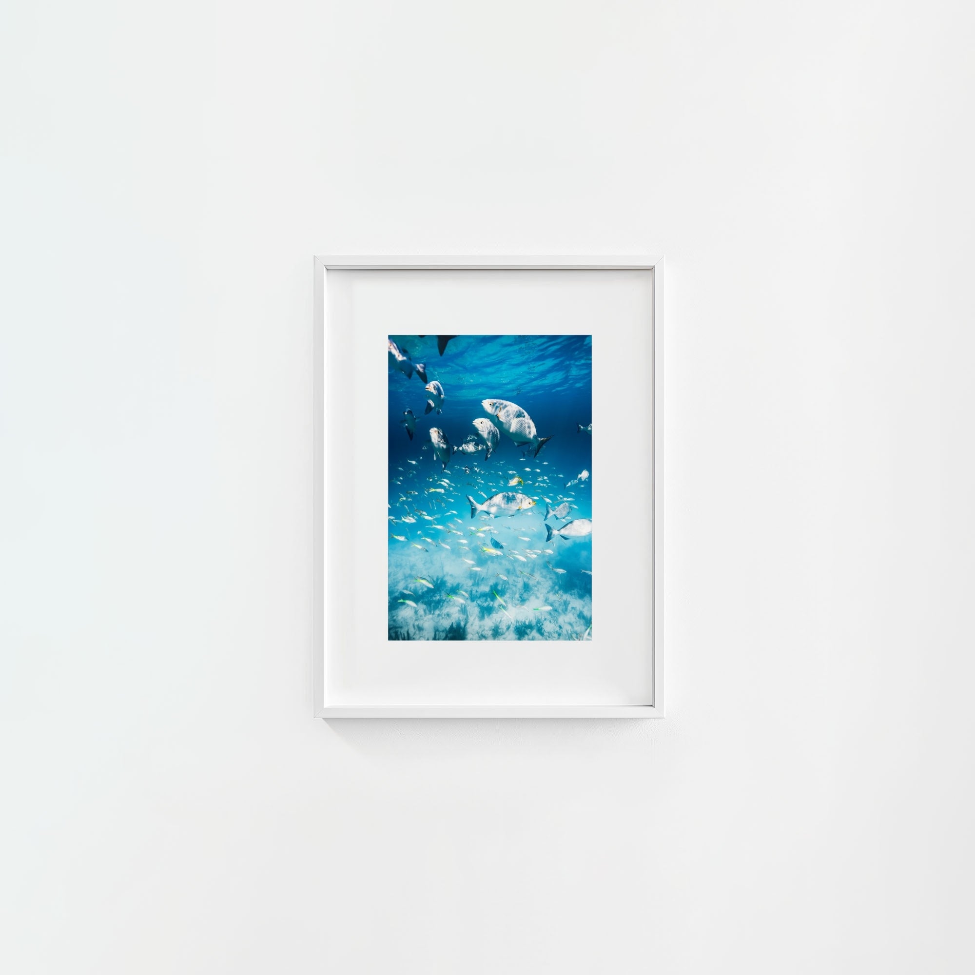 Colorful Current