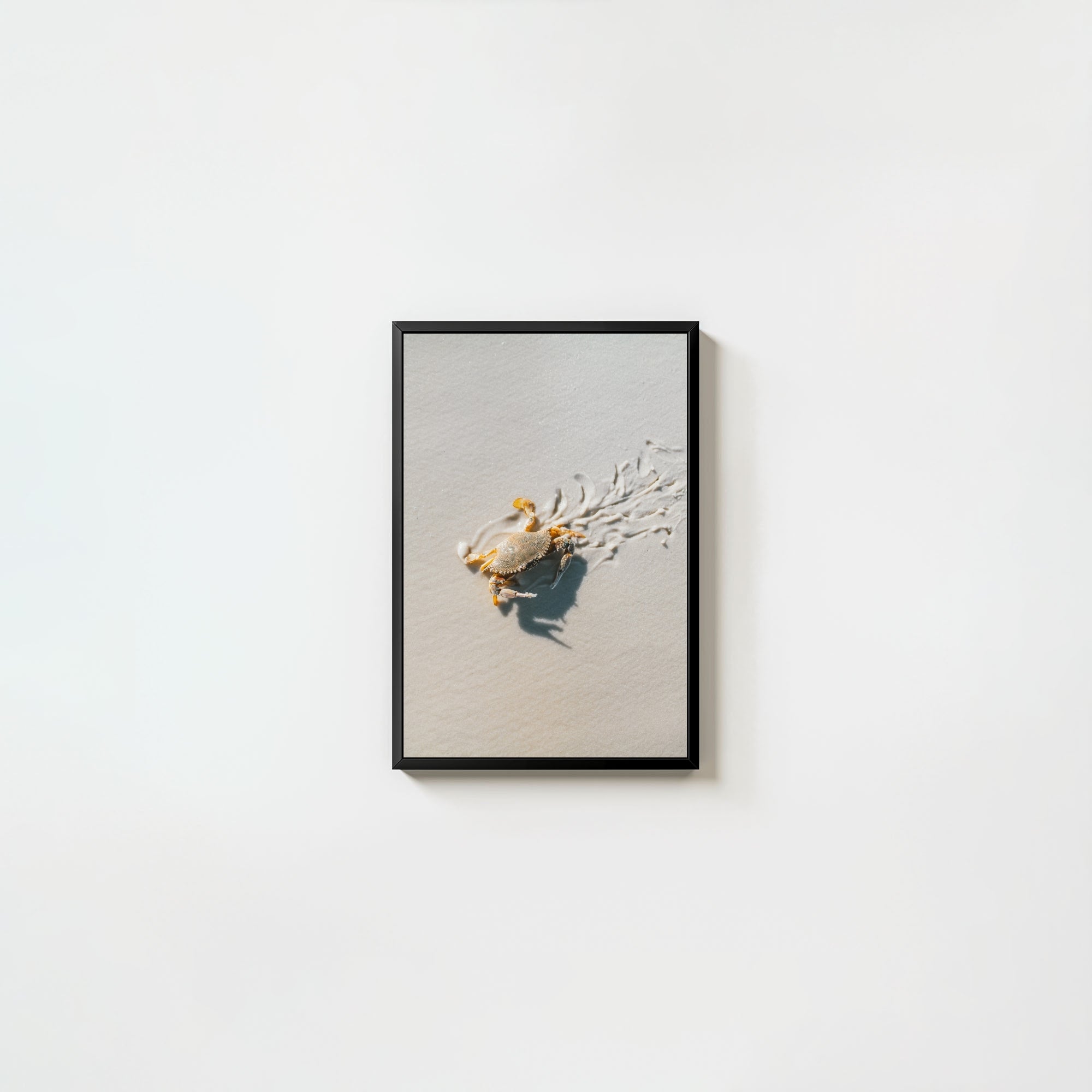 Crab Graffiti