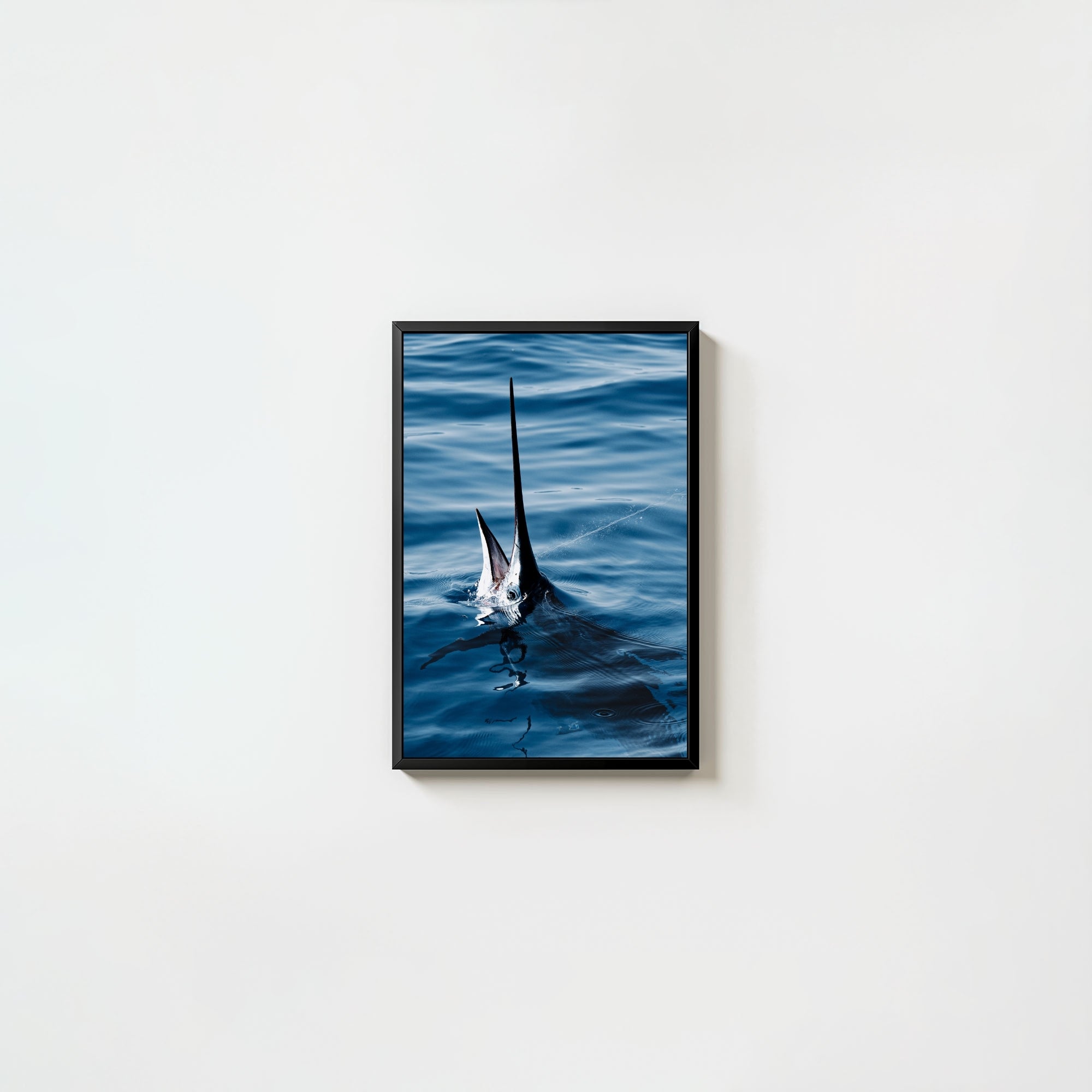 Sail Bite