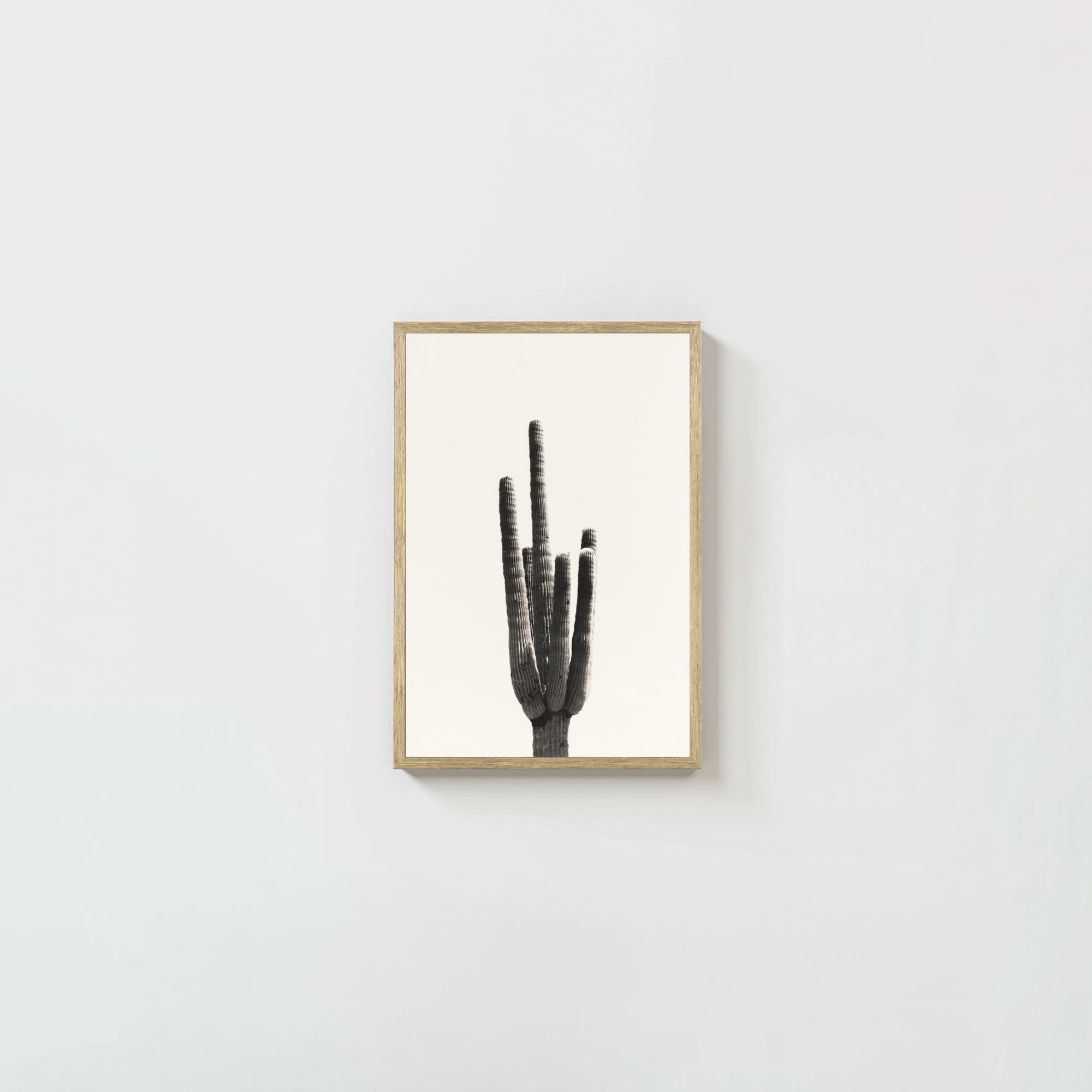Cacti