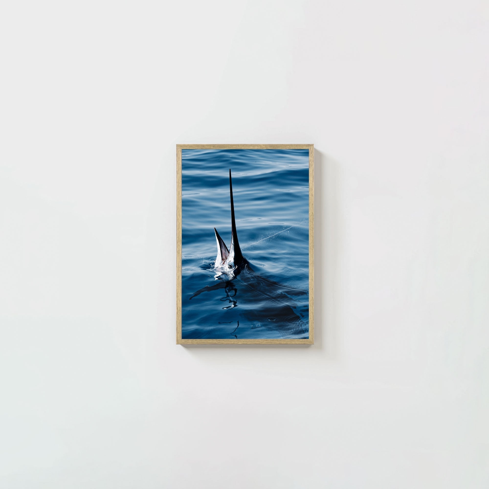 Sail Bite