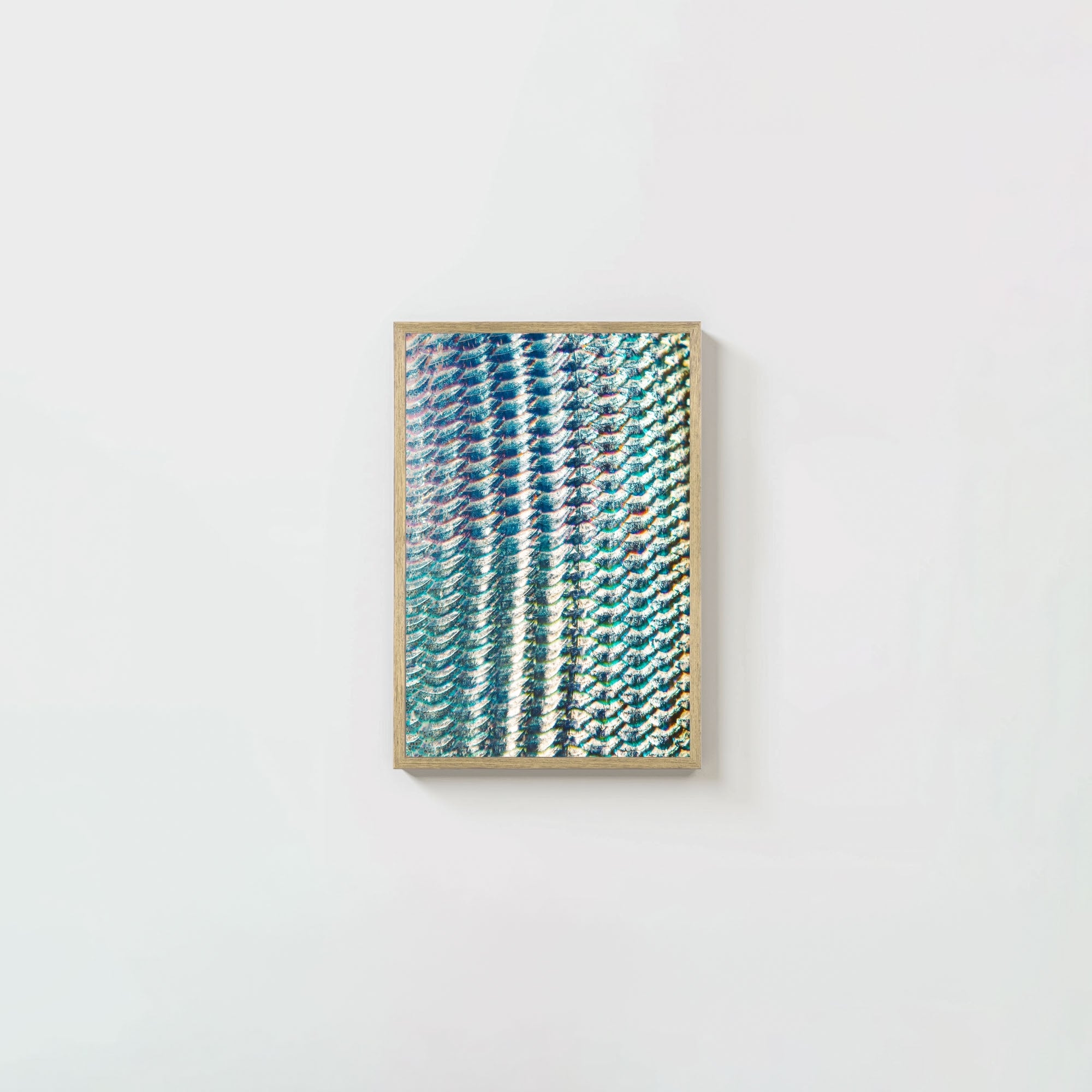 Bonefish Blueprint