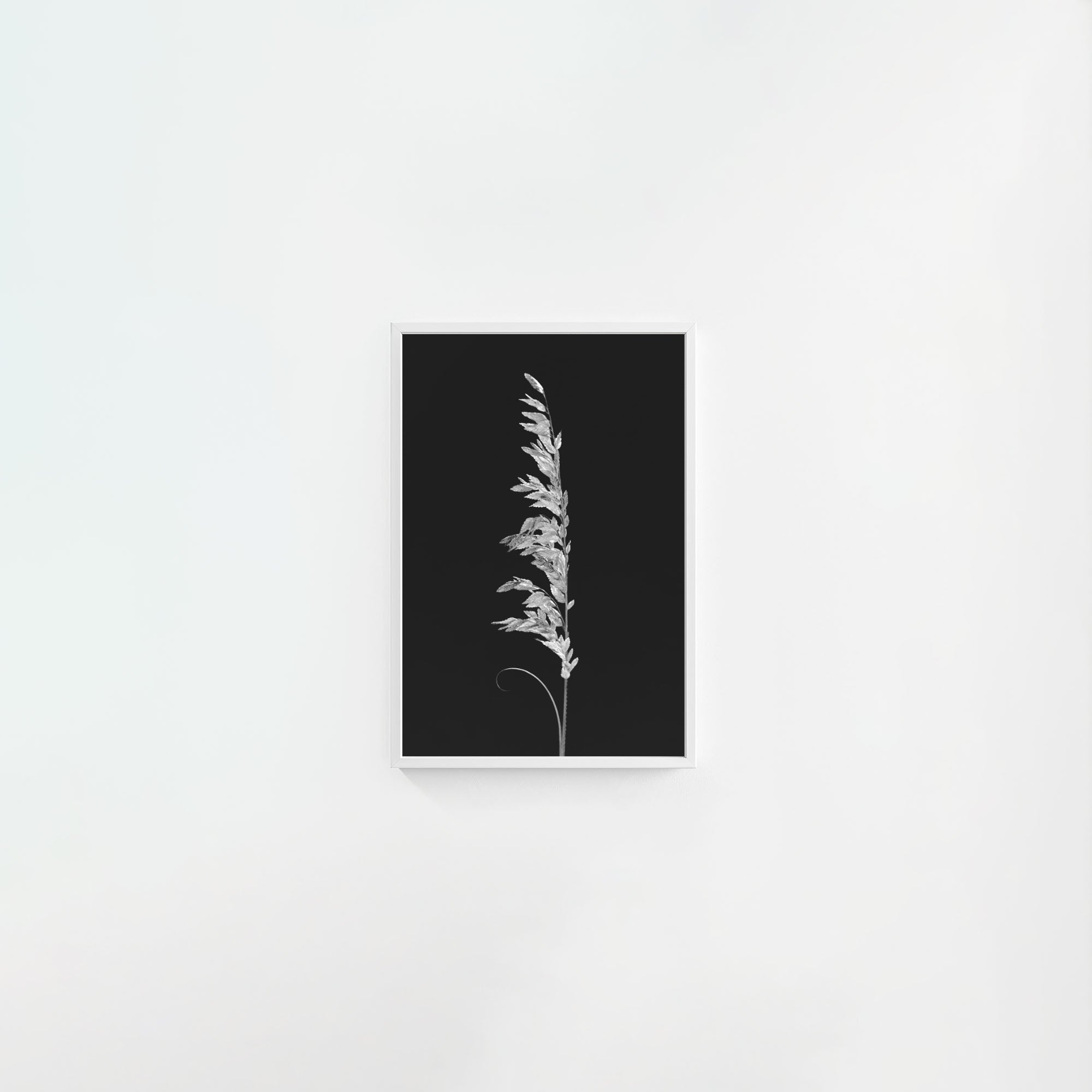 Wild Grain