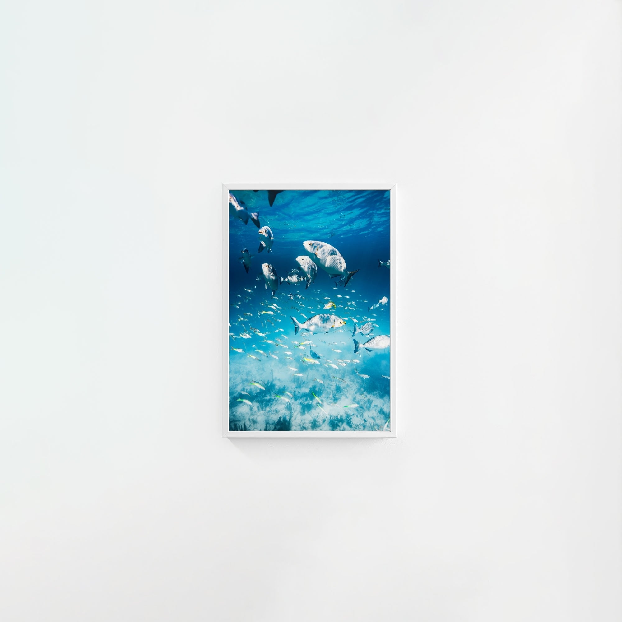 Colorful Current