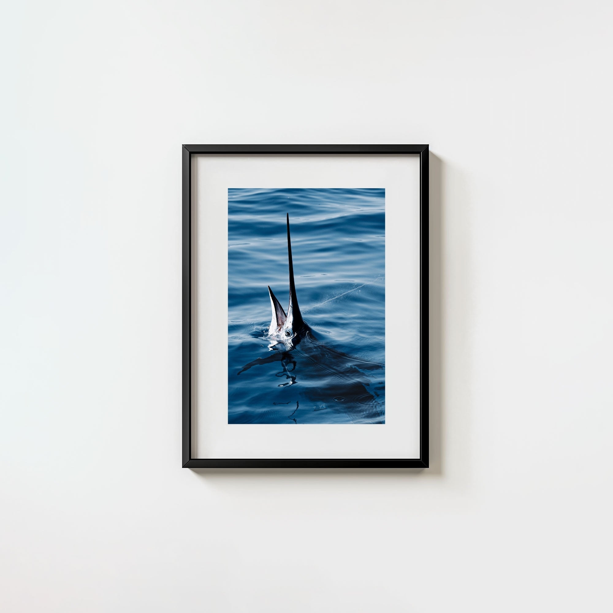 Sail Bite