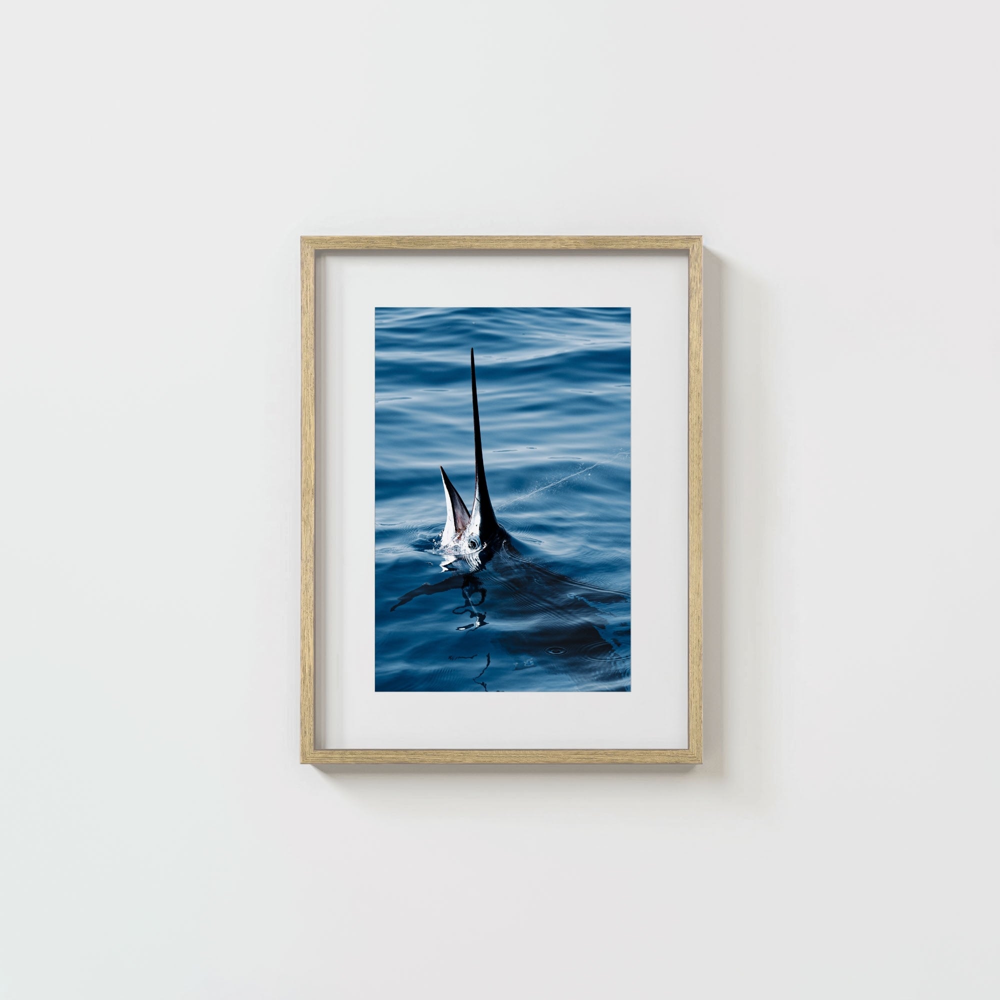 Sail Bite