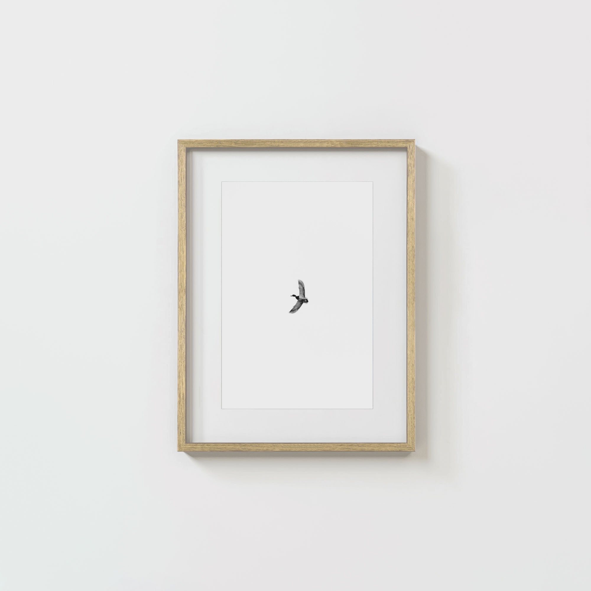 Greenhead