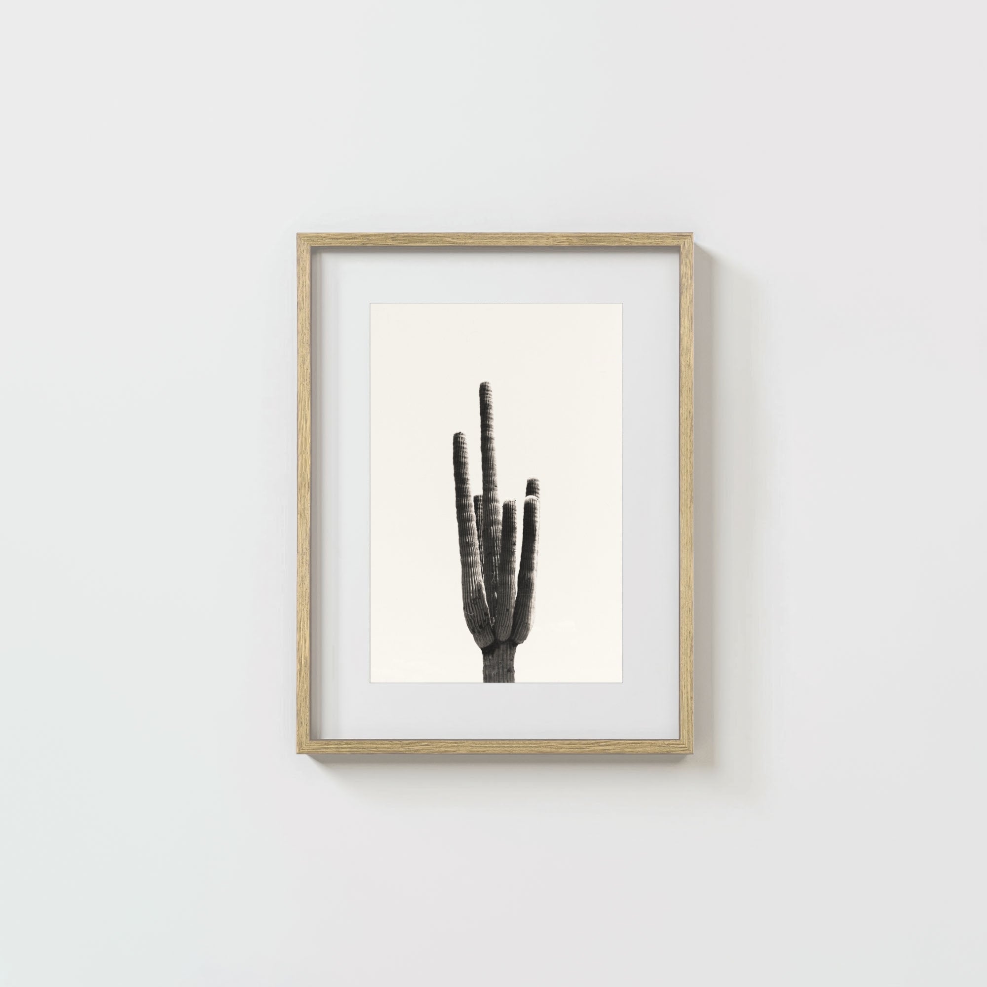 Cacti