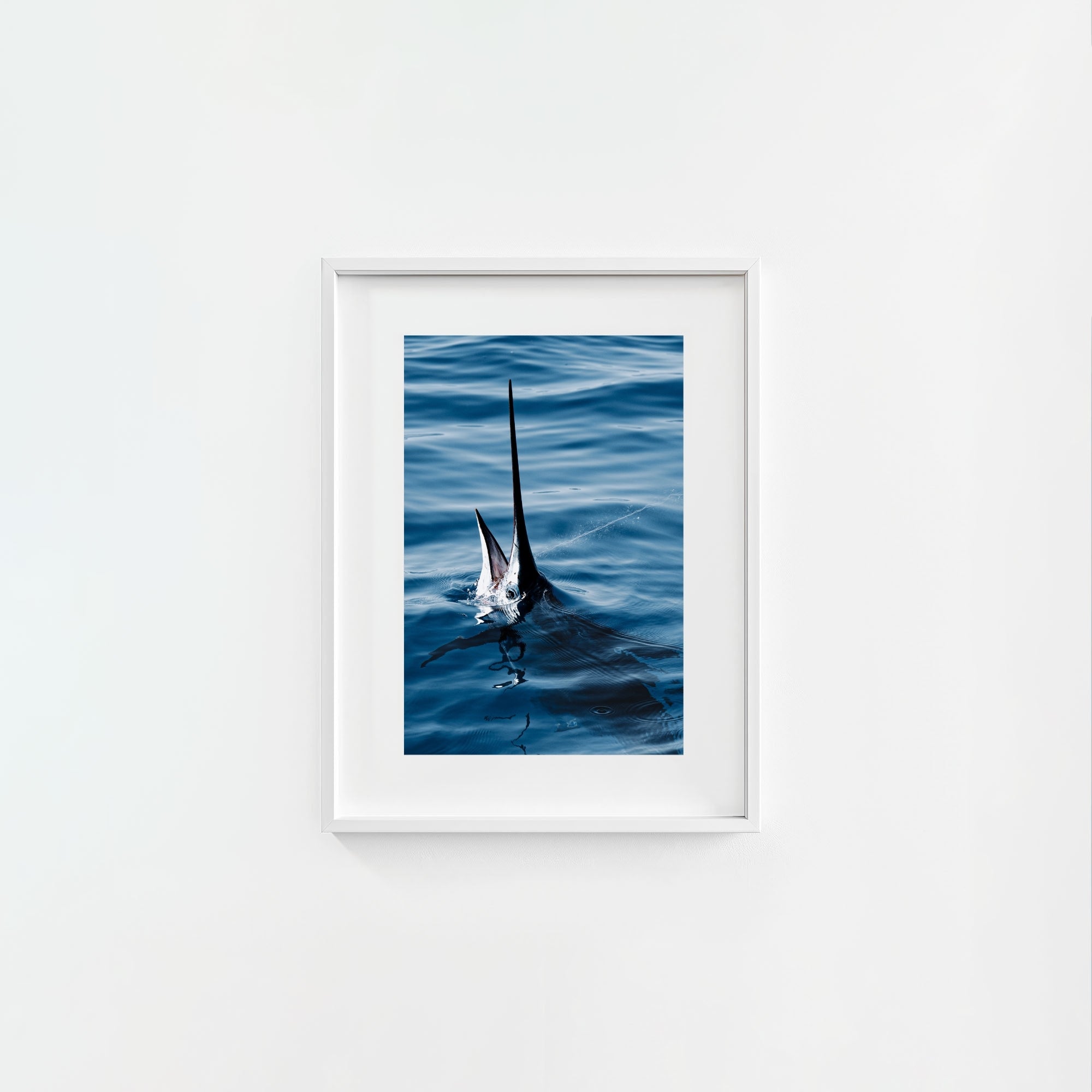 Sail Bite
