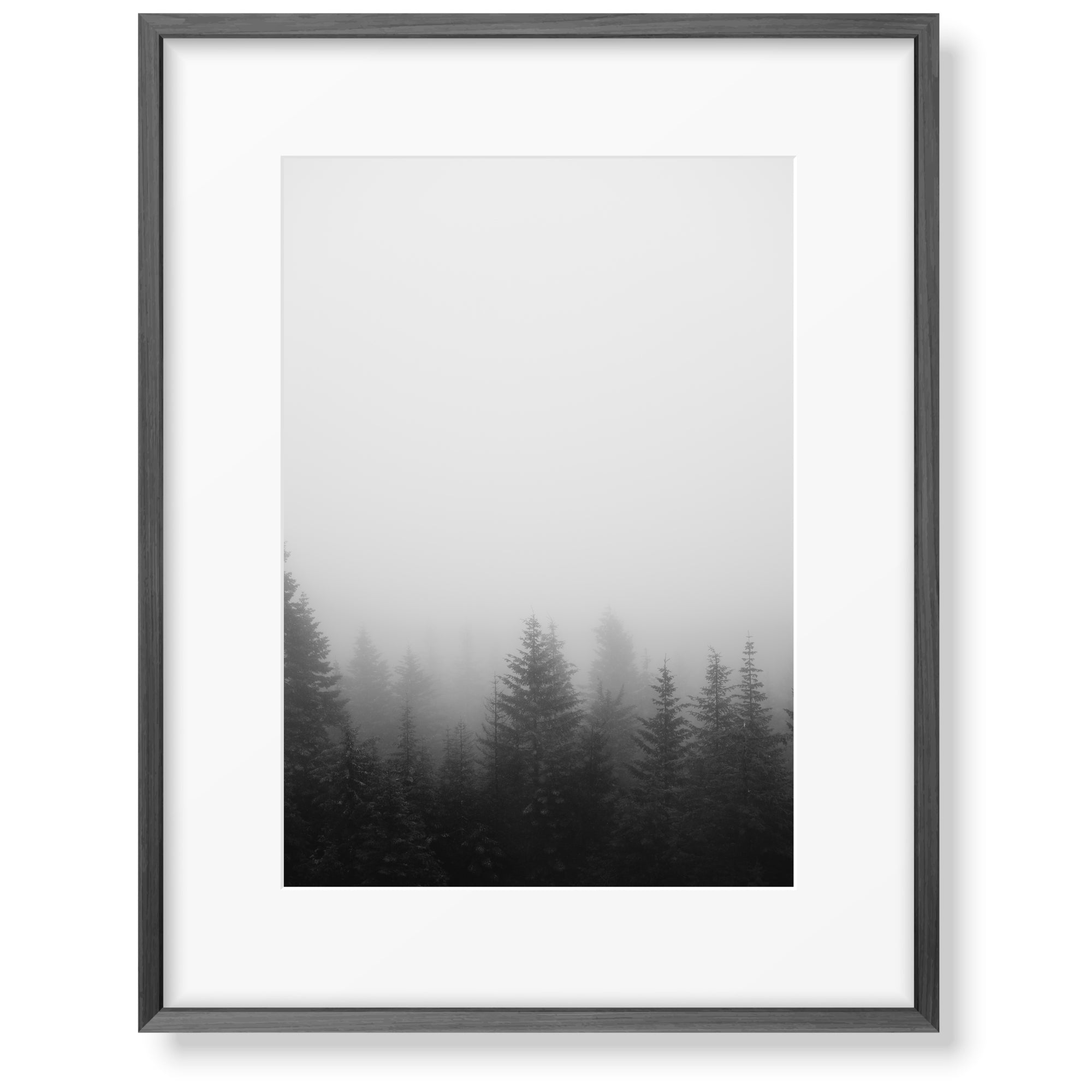 Fine Photography Print of a foggy forest with a black frame large