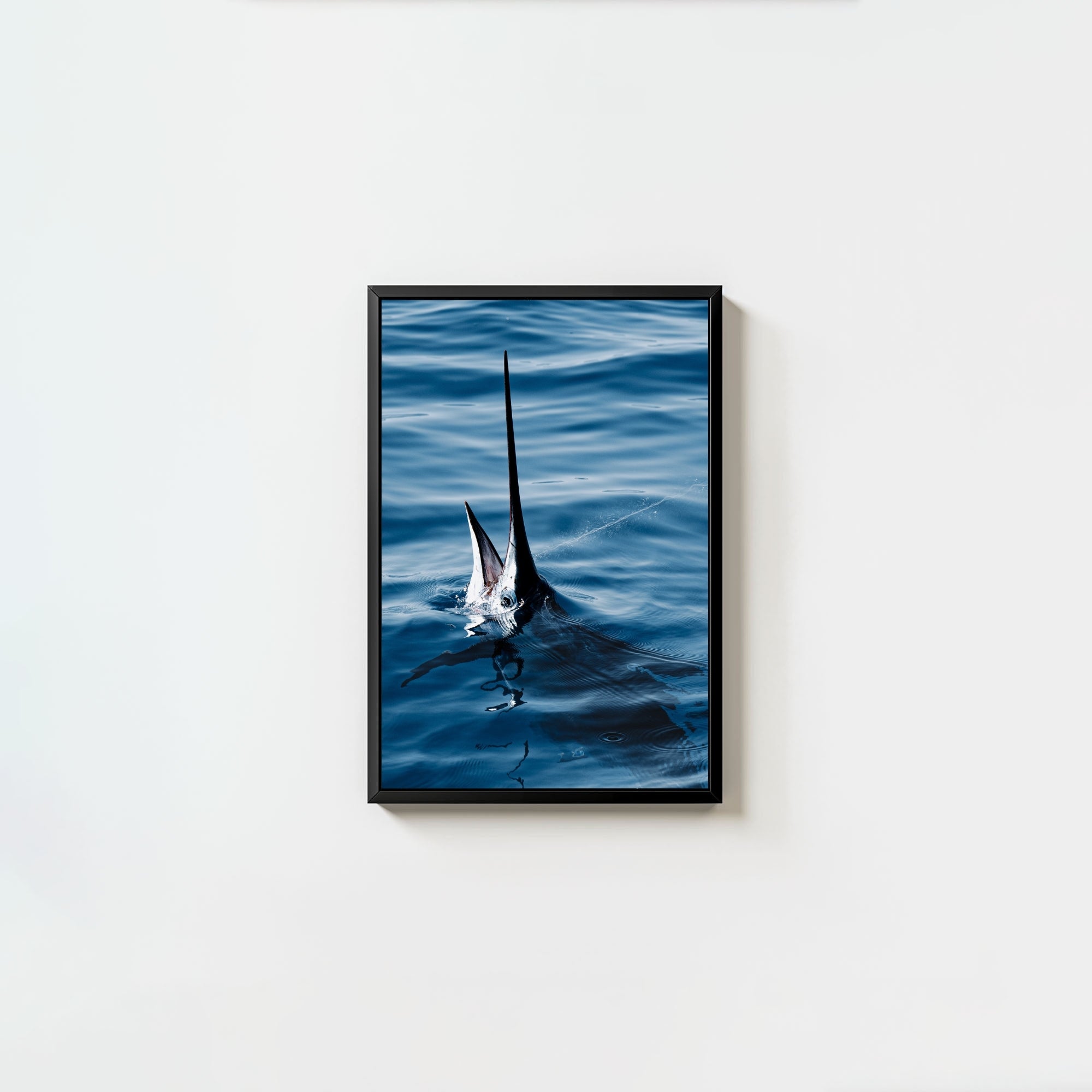 Sail Bite