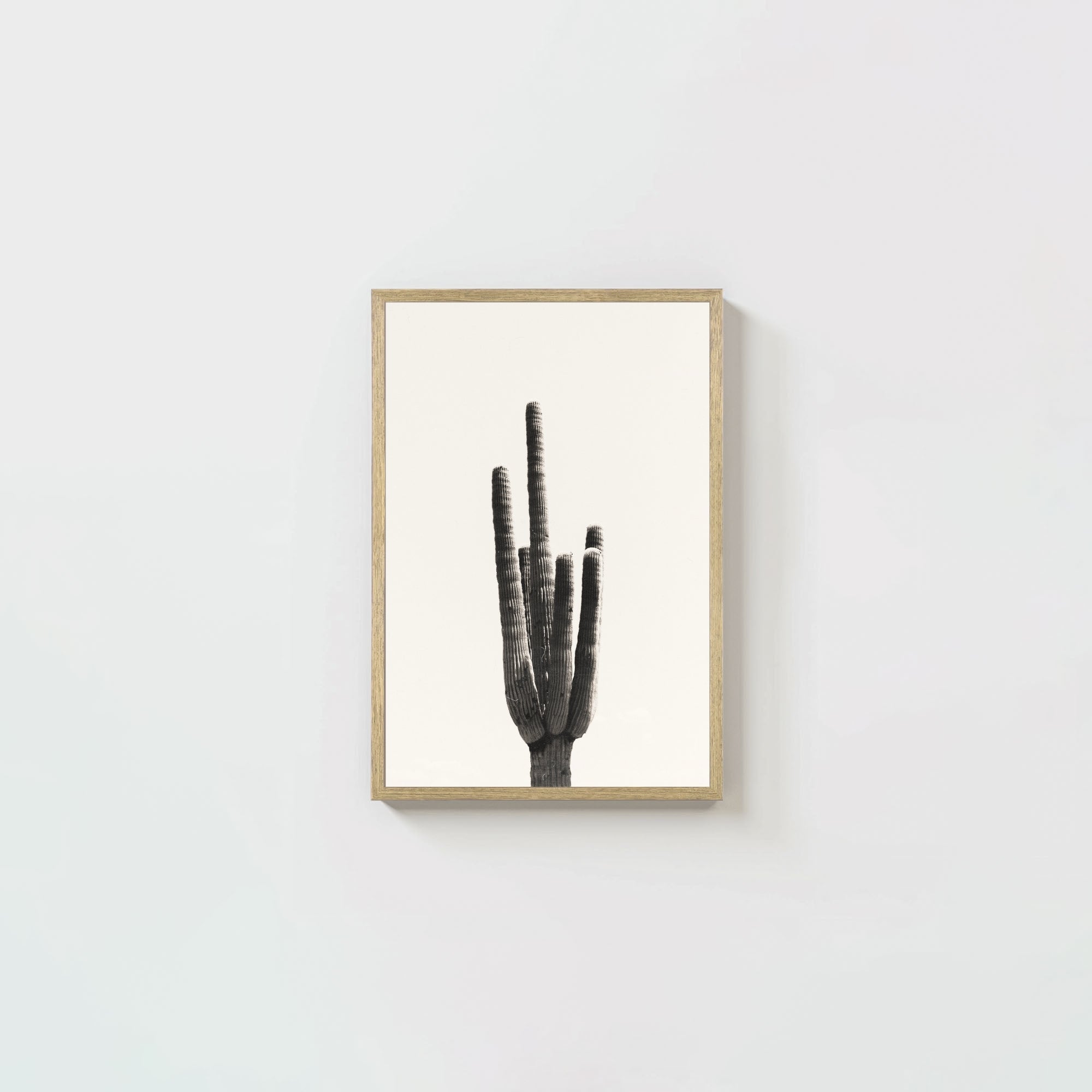 Cacti