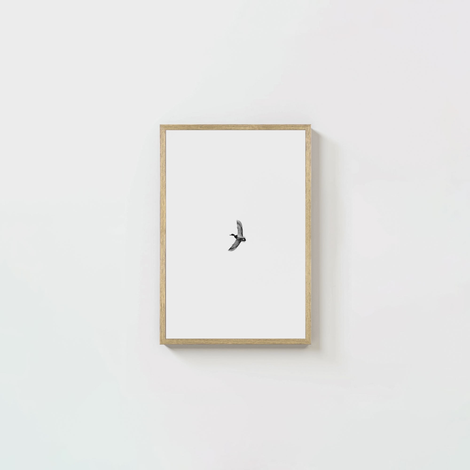 Greenhead