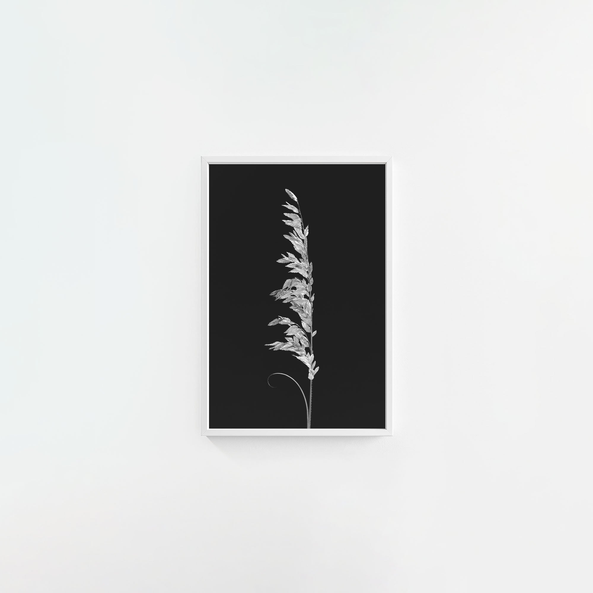 Wild Grain