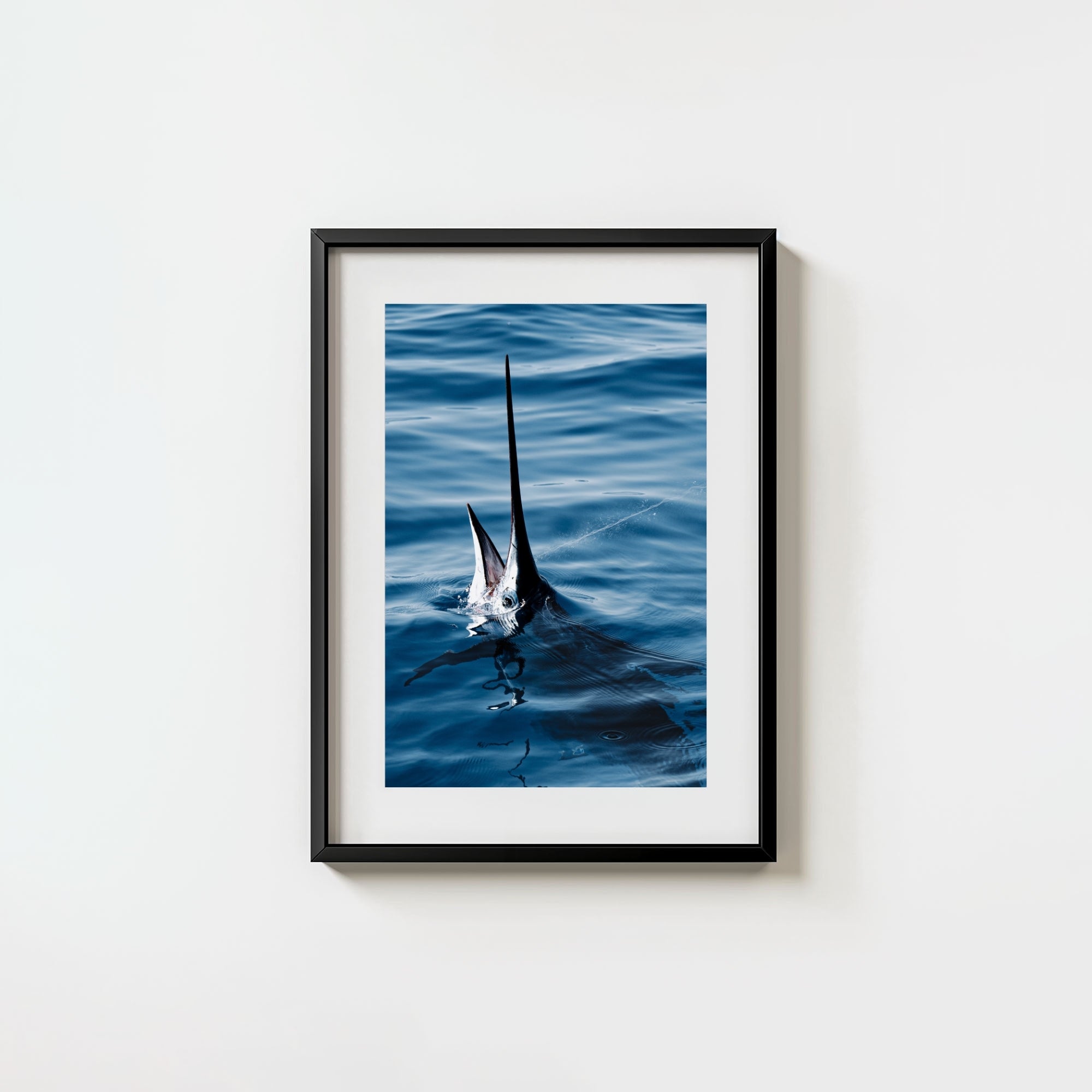 Sail Bite